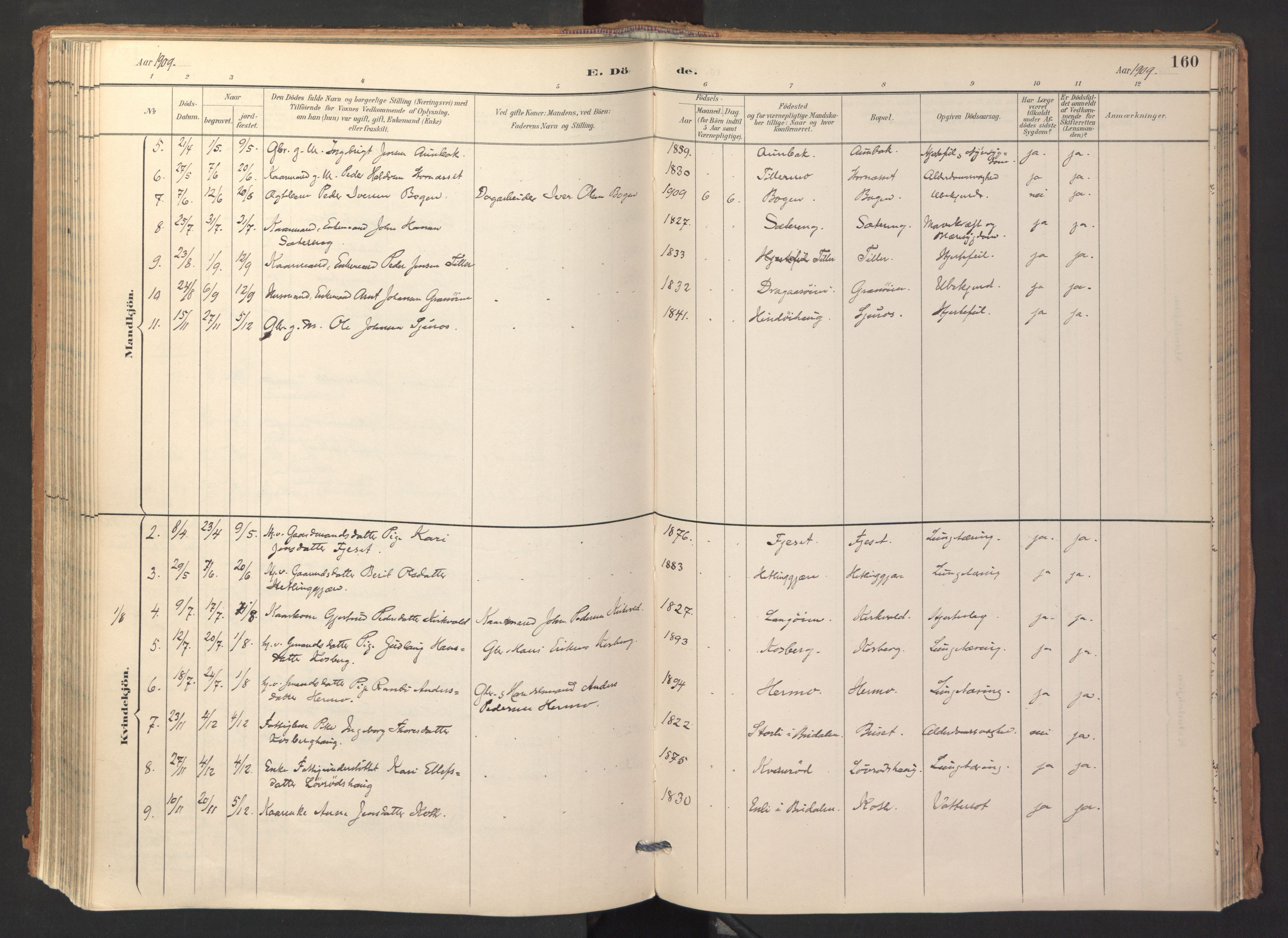 Ministerialprotokoller, klokkerbøker og fødselsregistre - Sør-Trøndelag, SAT/A-1456/688/L1025: Parish register (official) no. 688A02, 1891-1909, p. 160