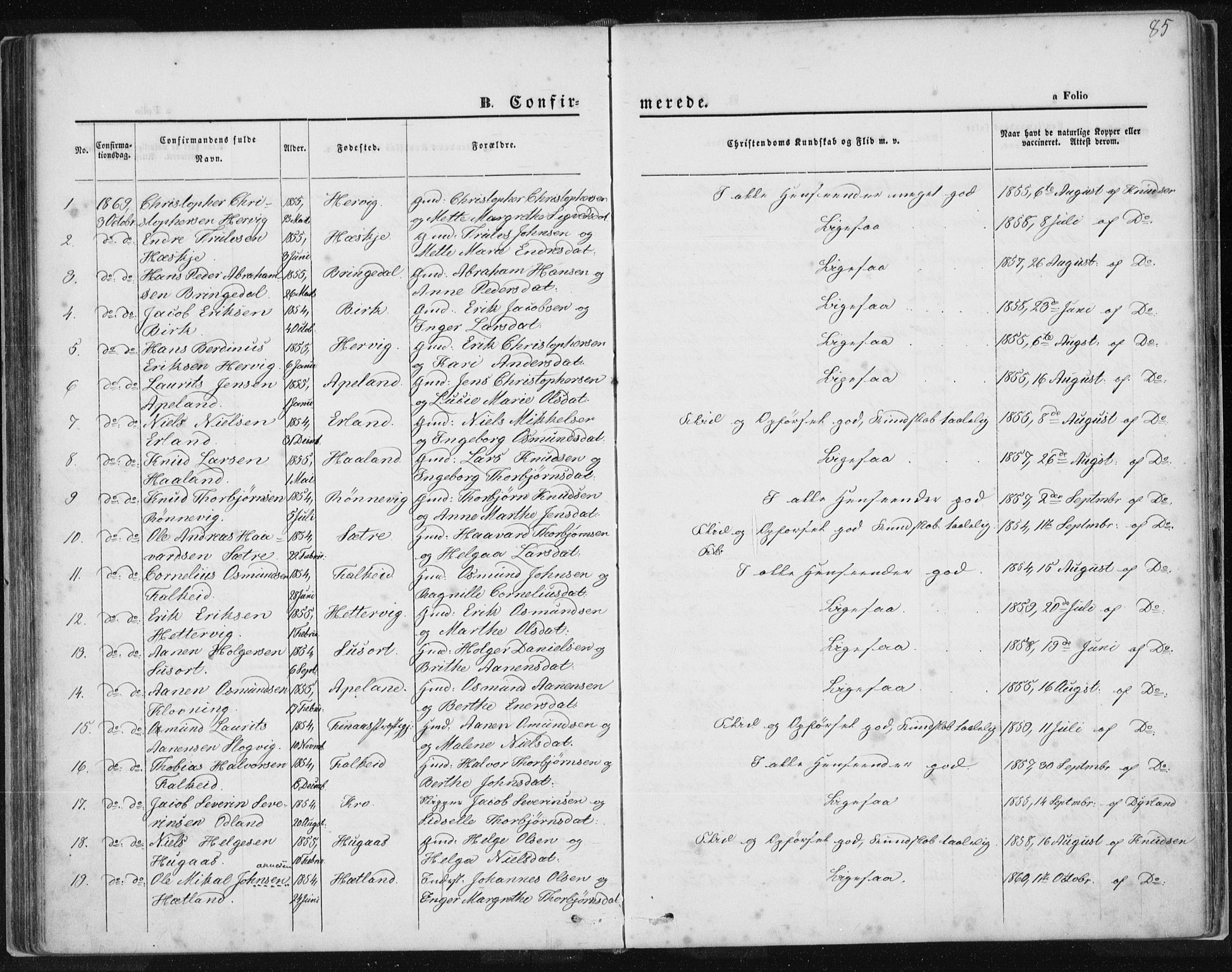 Tysvær sokneprestkontor, AV/SAST-A -101864/H/Ha/Haa/L0005: Parish register (official) no. A 5, 1865-1878, p. 85