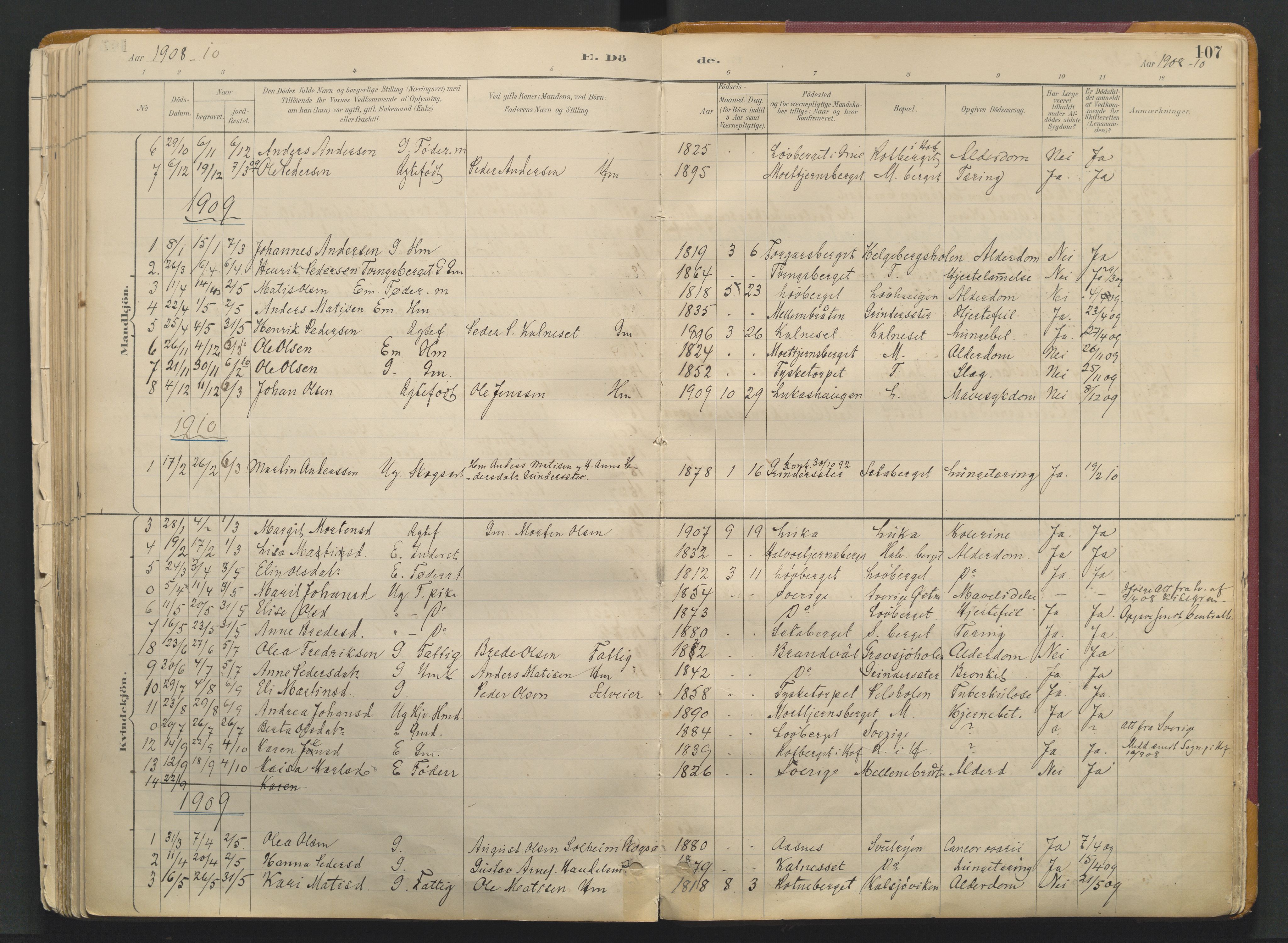 Grue prestekontor, SAH/PREST-036/H/Ha/Haa/L0017: Parish register (official) no. 17, 1892-1936, p. 107