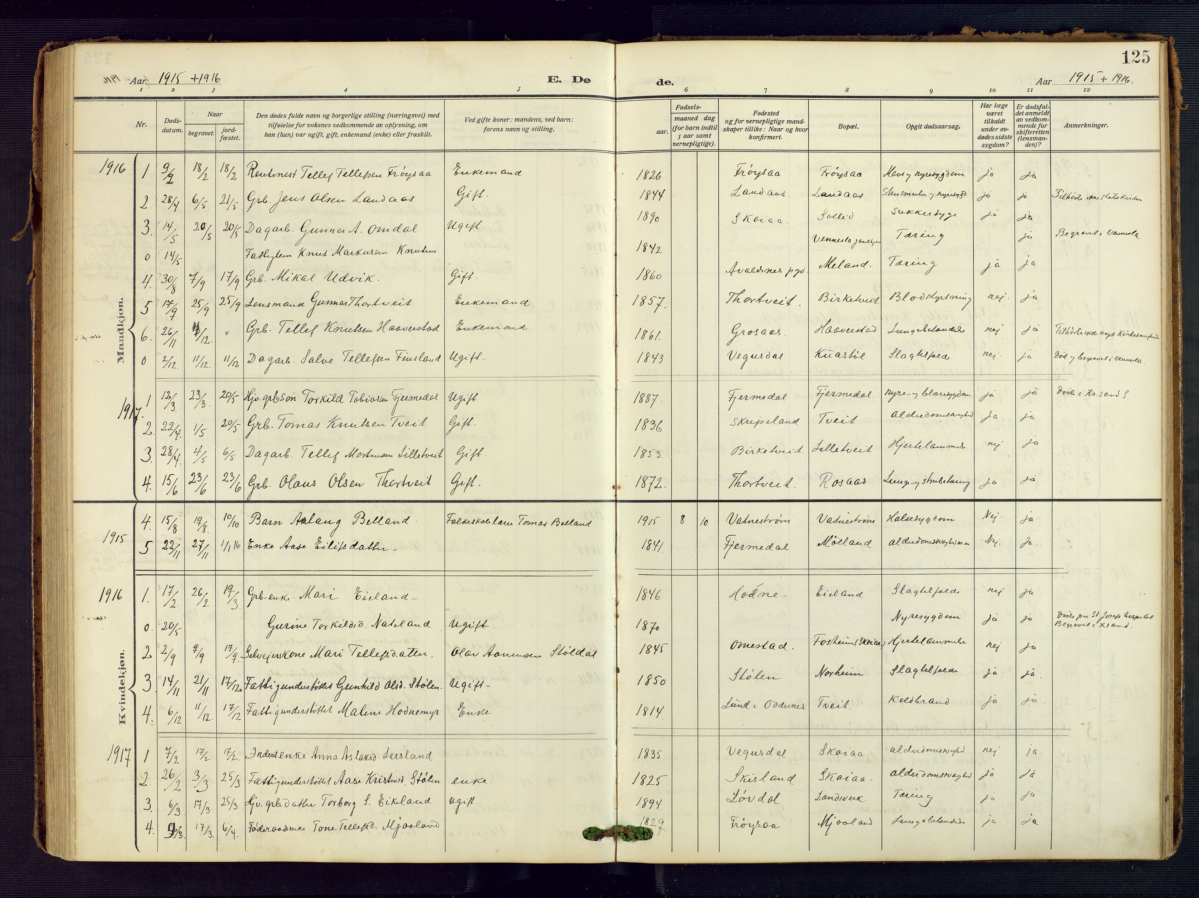 Evje sokneprestkontor, AV/SAK-1111-0008/F/Fa/Fac/L0004: Parish register (official) no. A 4, 1910-1932, p. 125