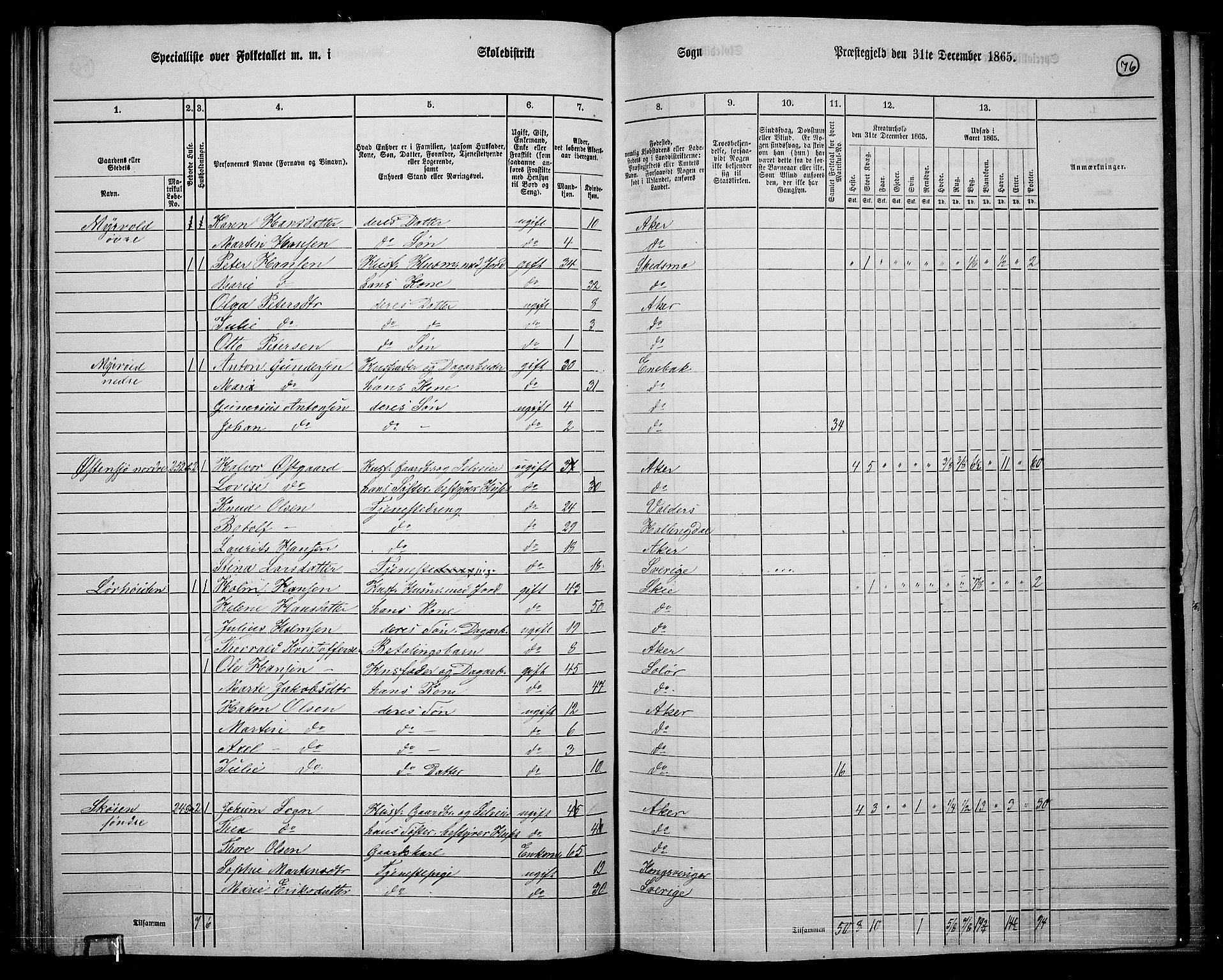 RA, 1865 census for Østre Aker, 1865, p. 300