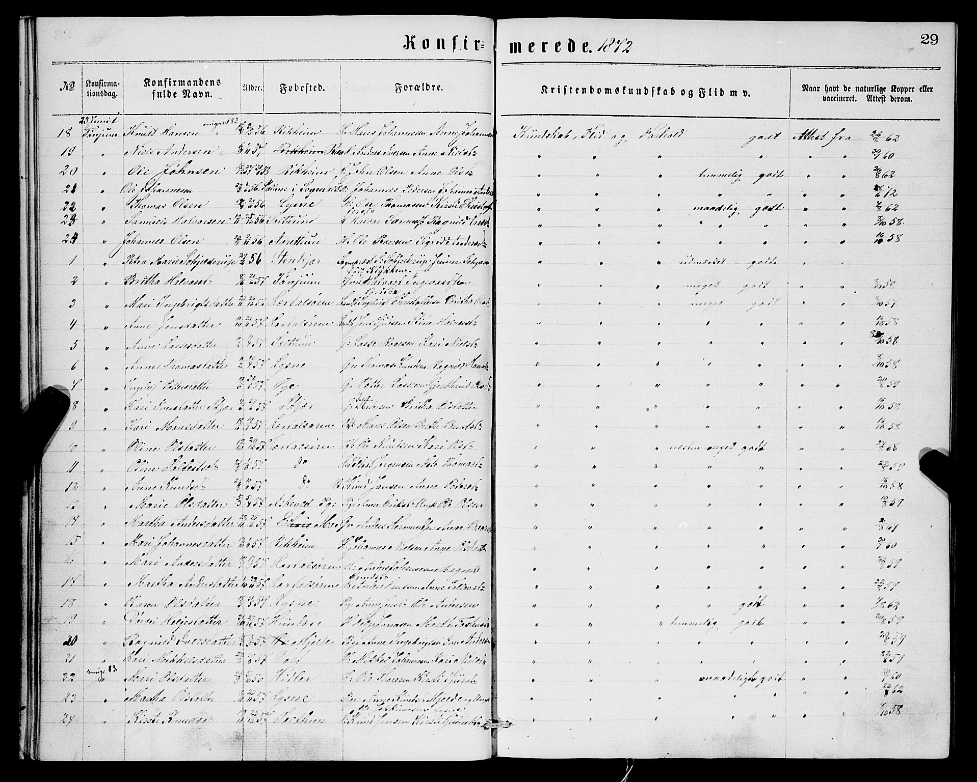 Lærdal sokneprestembete, SAB/A-81201: Parish register (official) no.  A 14, 1865-1877, p. 29