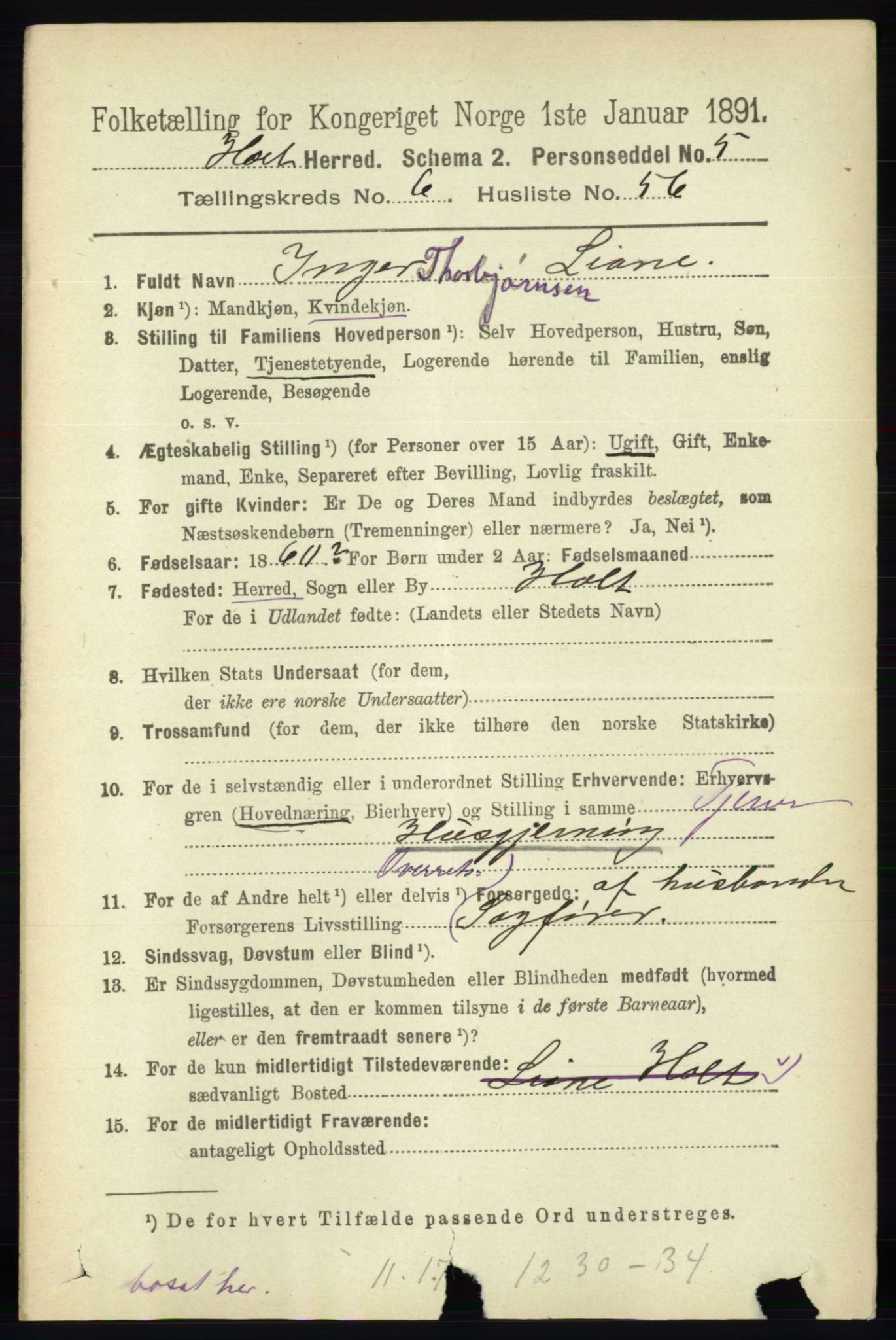 RA, 1891 census for 0914 Holt, 1891, p. 3289