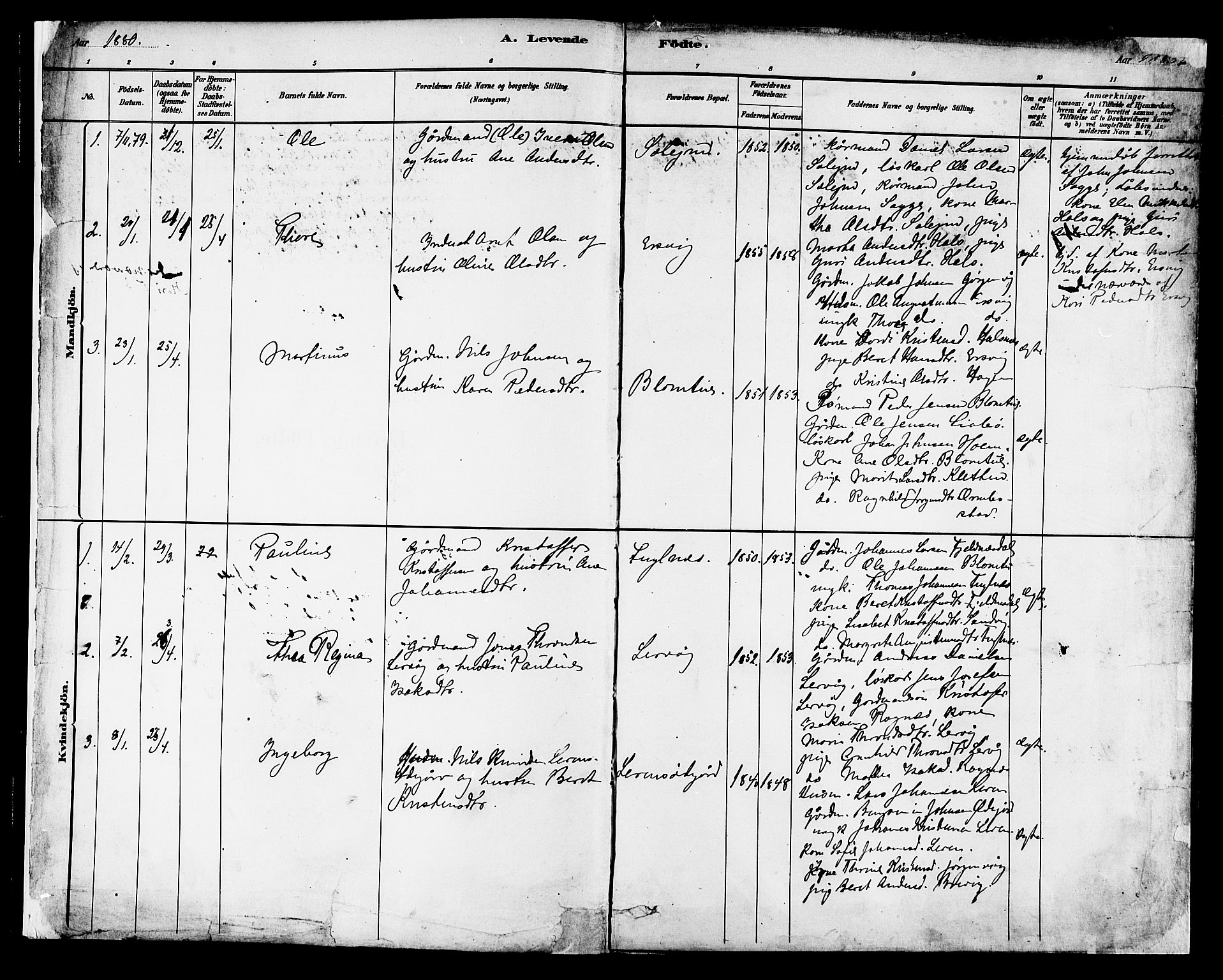 Ministerialprotokoller, klokkerbøker og fødselsregistre - Møre og Romsdal, AV/SAT-A-1454/577/L0896: Parish register (official) no. 577A03, 1880-1898, p. 2