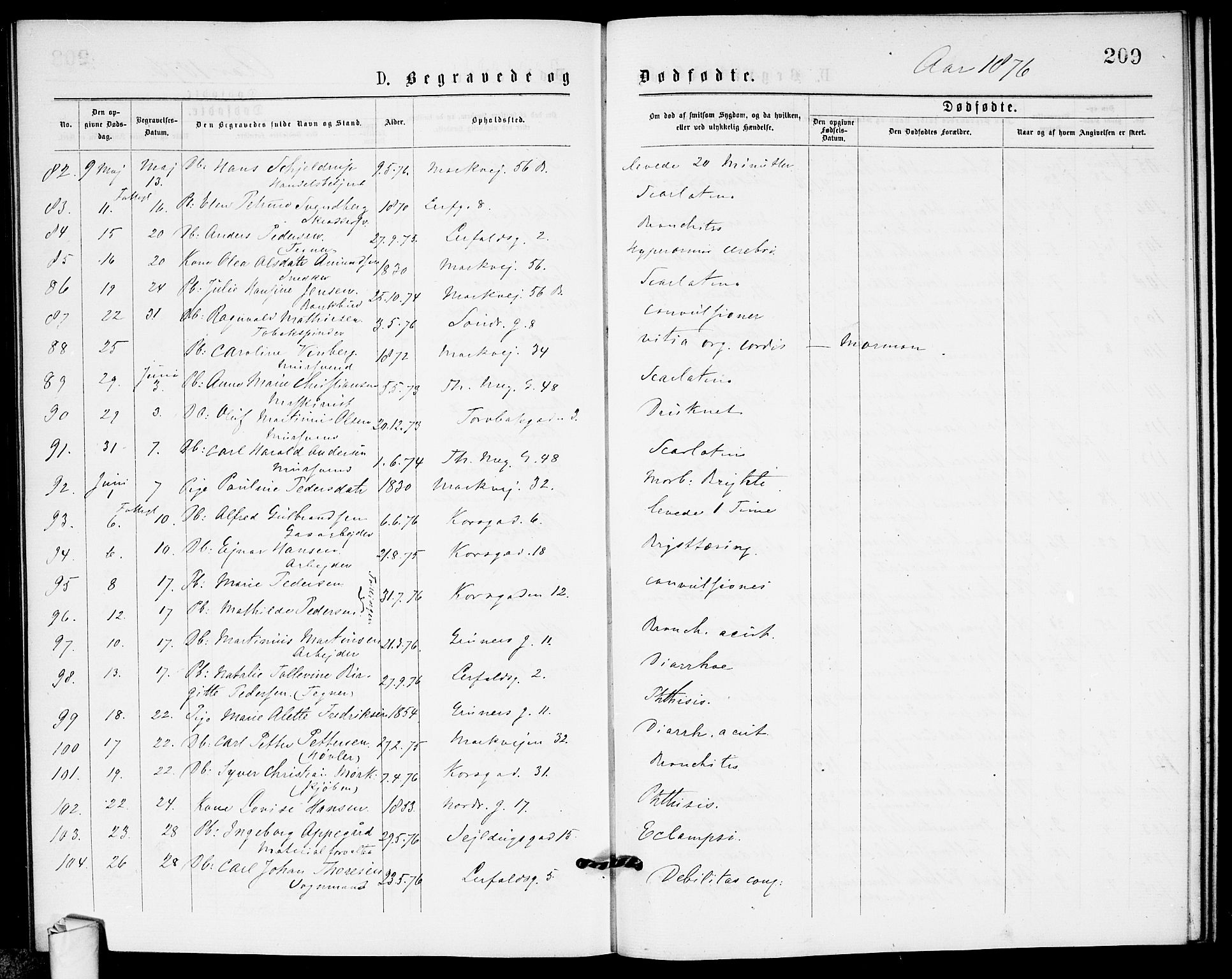Paulus prestekontor Kirkebøker, AV/SAO-A-10871/G/Ga/L0001: Parish register (copy) no. 1, 1875-1878, p. 209