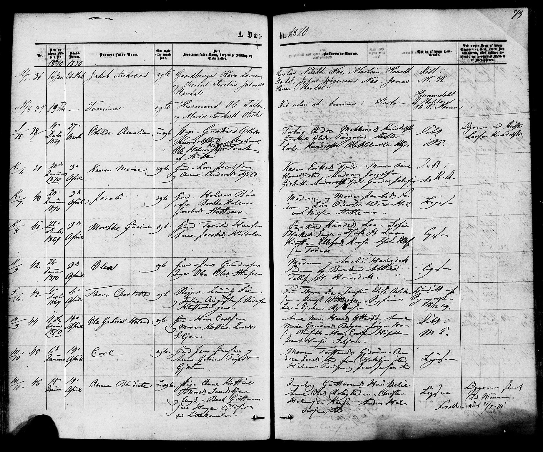 Solum kirkebøker, AV/SAKO-A-306/F/Fa/L0008: Parish register (official) no. I 8, 1865-1876, p. 73