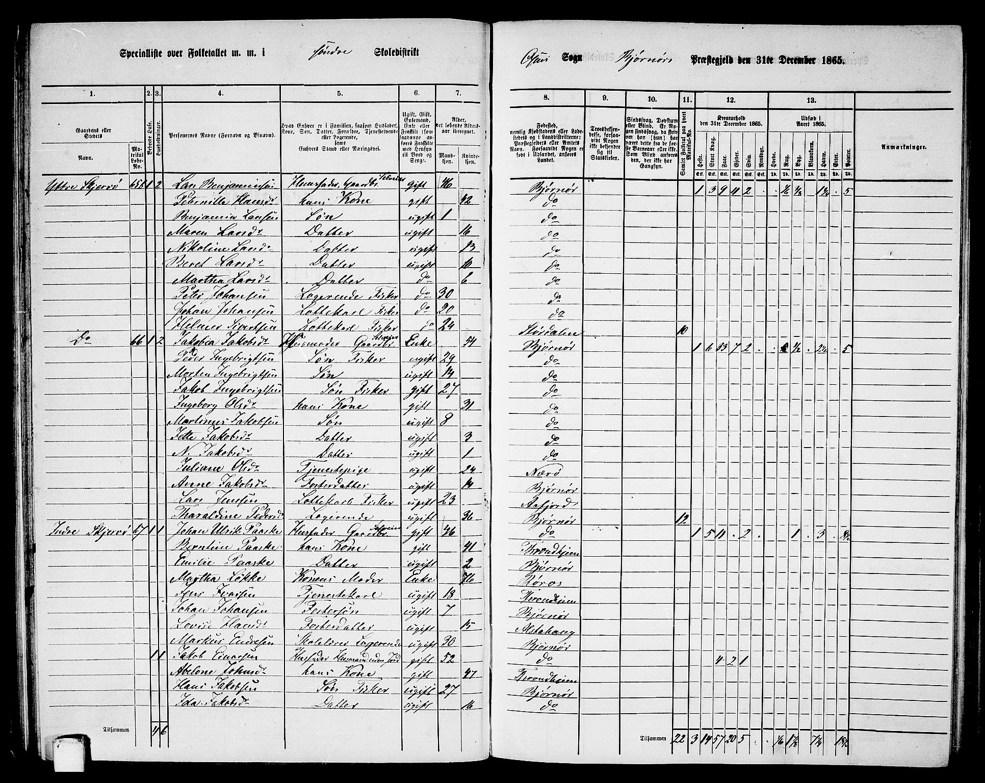 RA, 1865 census for Bjørnør, 1865, p. 56