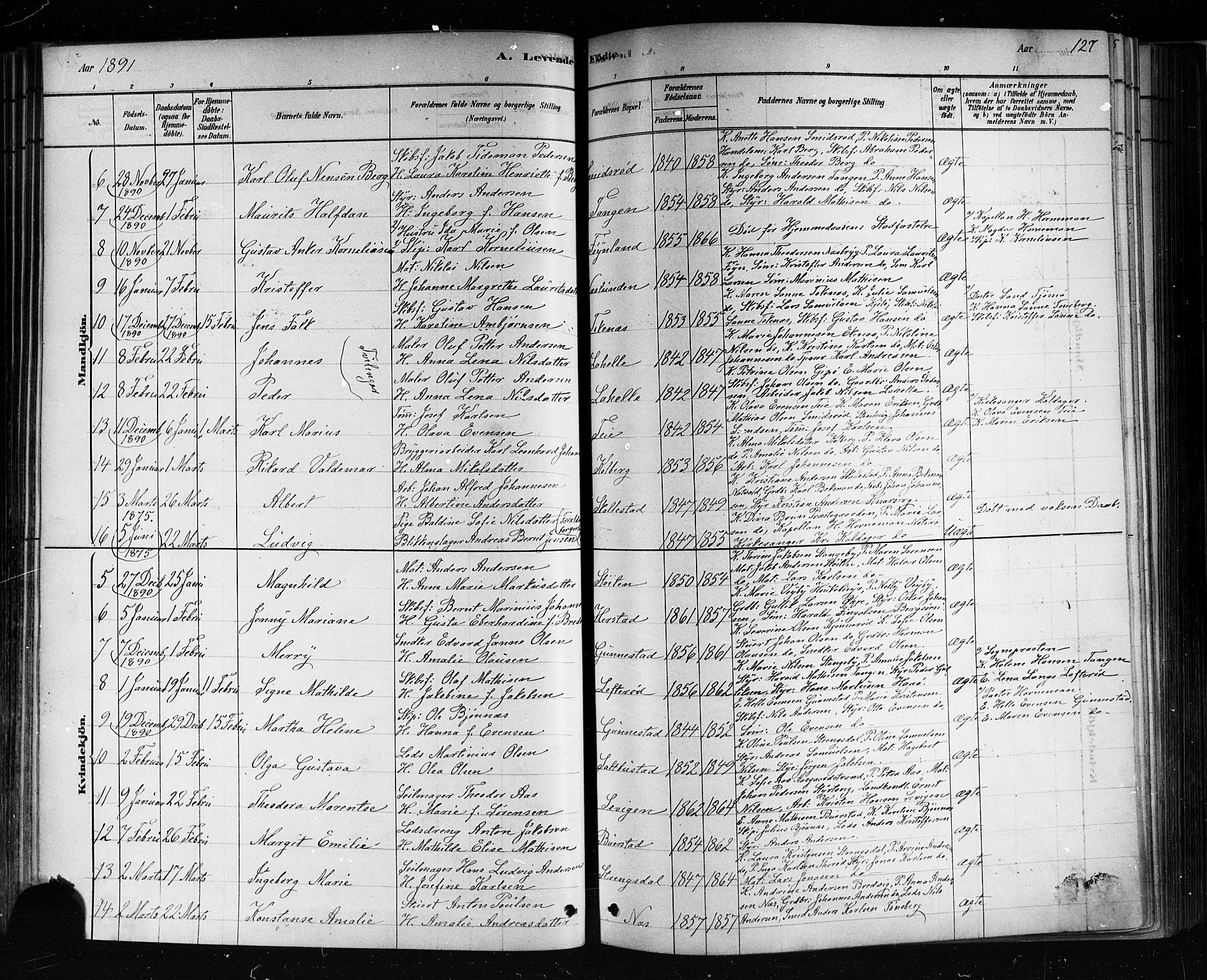 Nøtterøy kirkebøker, AV/SAKO-A-354/F/Fa/L0008: Parish register (official) no. I 8, 1878-1893, p. 127