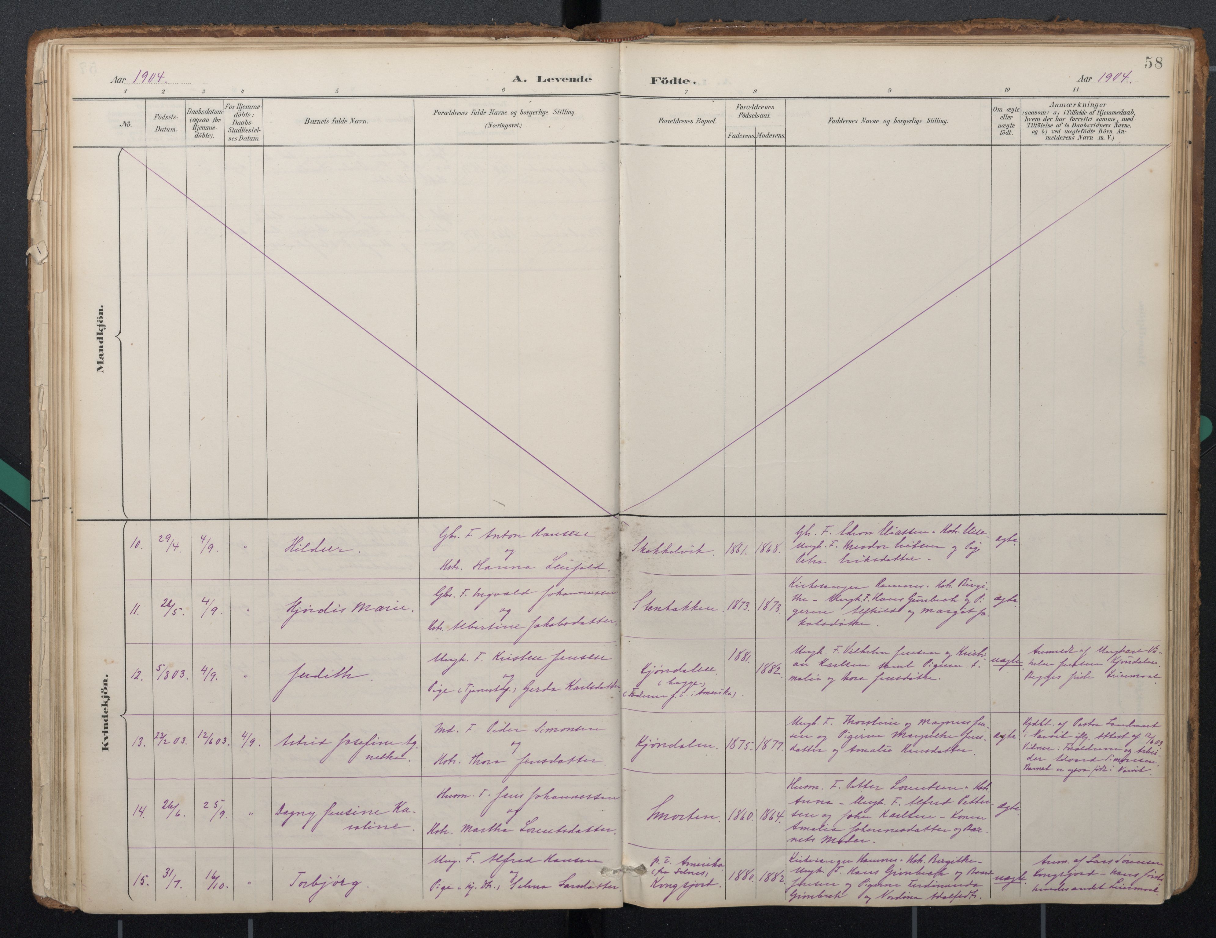 Ministerialprotokoller, klokkerbøker og fødselsregistre - Nordland, AV/SAT-A-1459/884/L1193: Parish register (official) no. 884A01, 1888-1905, p. 58