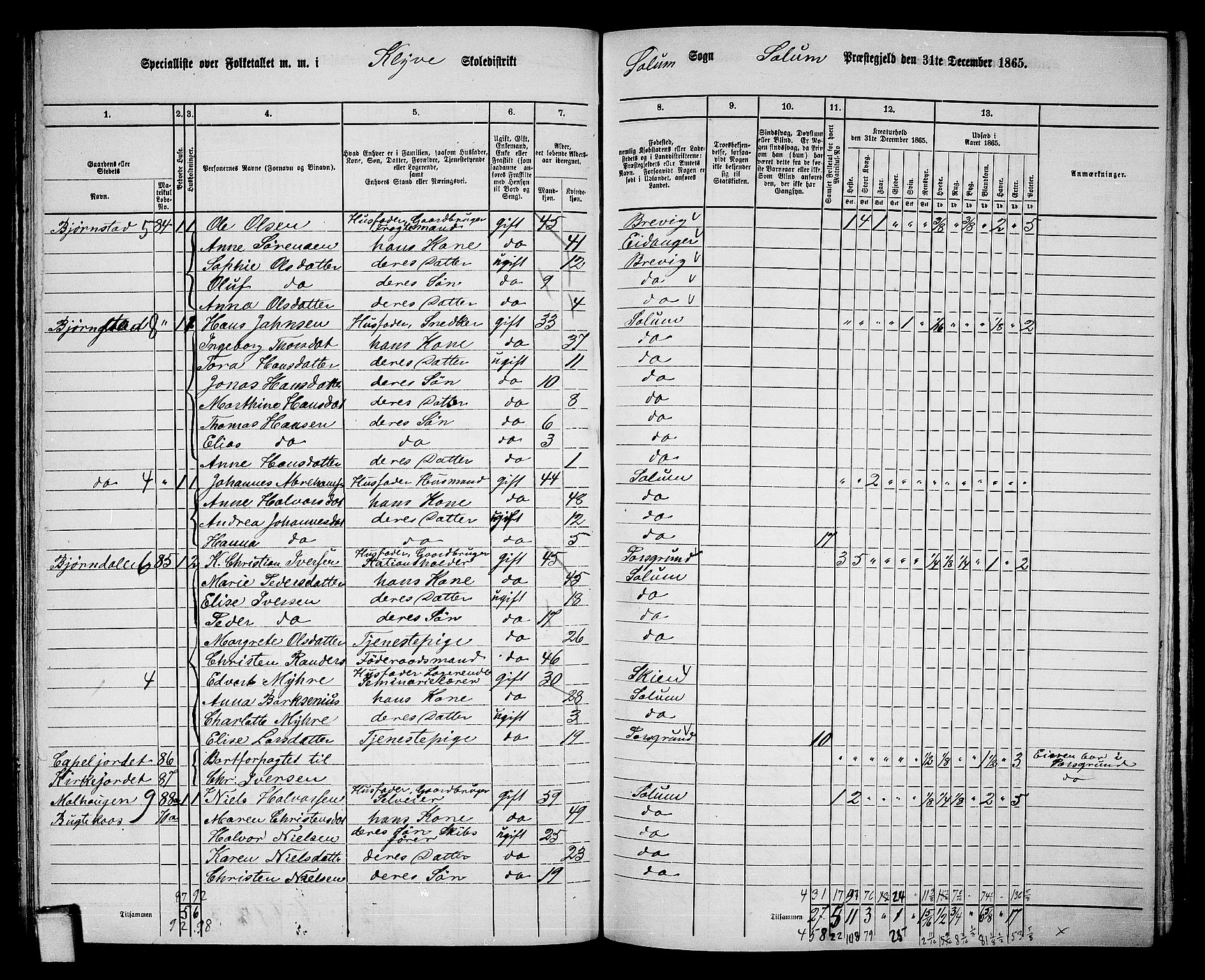 RA, 1865 census for Solum, 1865, p. 86