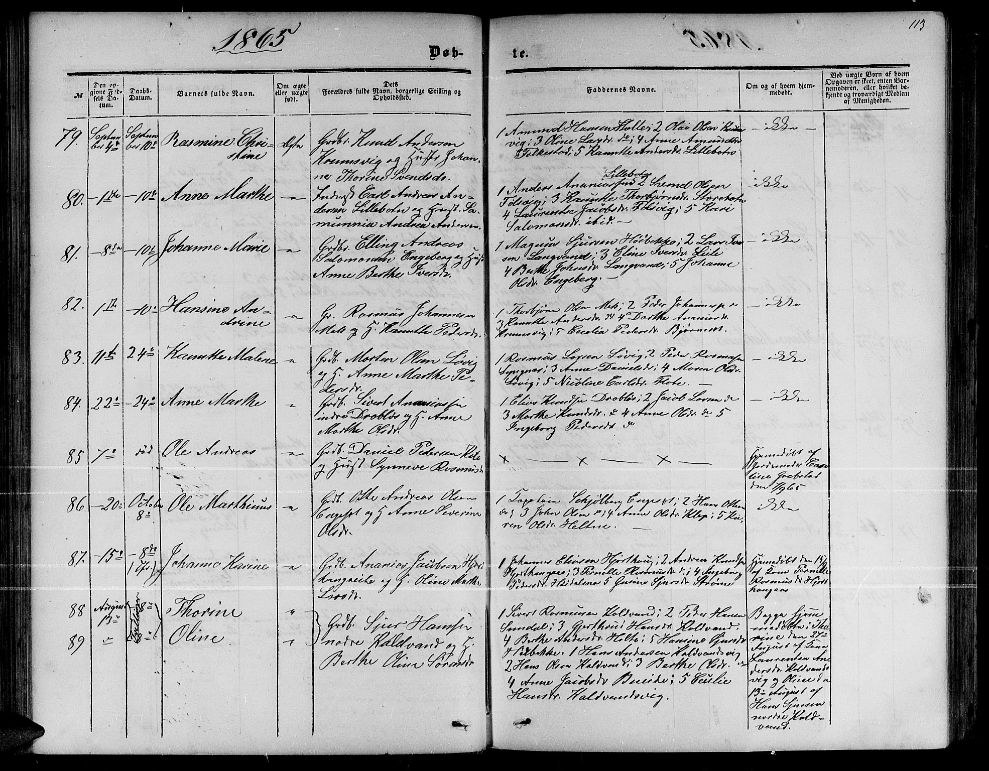 Ministerialprotokoller, klokkerbøker og fødselsregistre - Møre og Romsdal, SAT/A-1454/511/L0157: Parish register (copy) no. 511C03, 1864-1884, p. 113