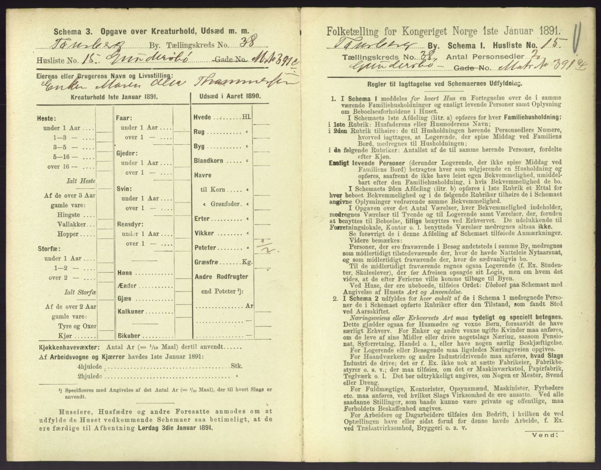 RA, 1891 census for 0705 Tønsberg, 1891, p. 1102