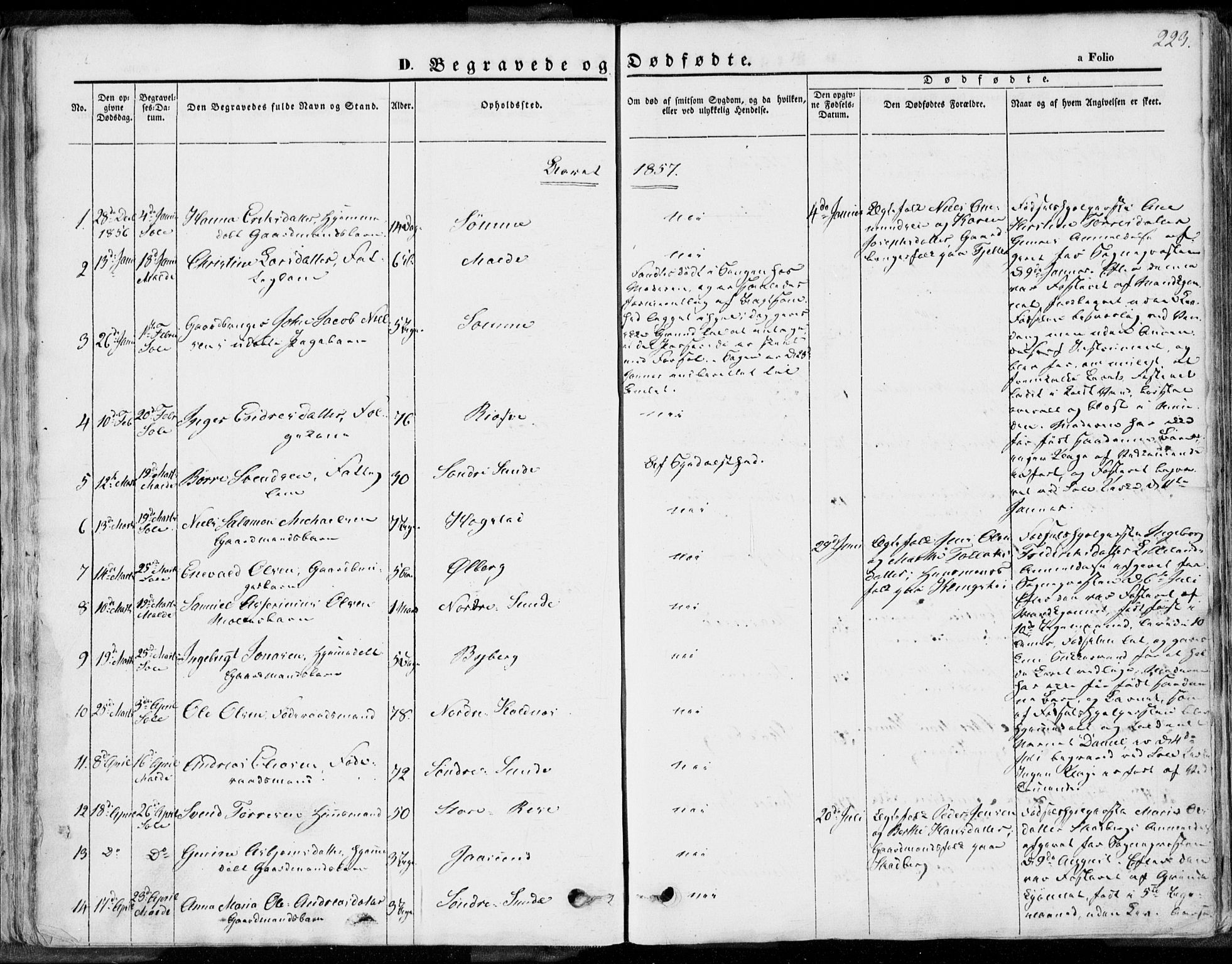 Håland sokneprestkontor, SAST/A-101802/001/30BA/L0008: Parish register (official) no. A 7.2, 1854-1870, p. 223