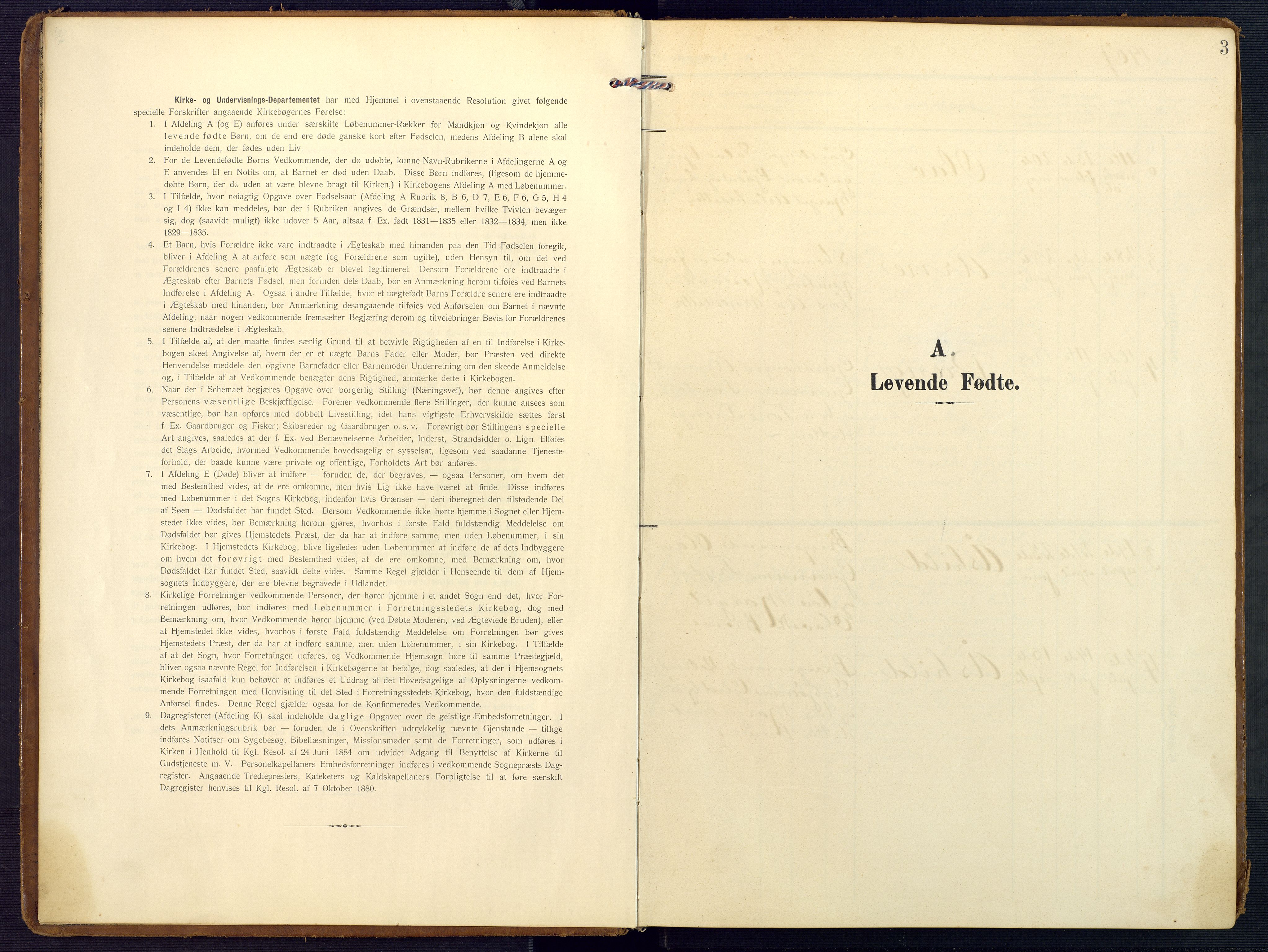 Valle sokneprestkontor, SAK/1111-0044/F/Fa/Faa/L0002: Parish register (official) no. A 2, 1907-1919, p. 3