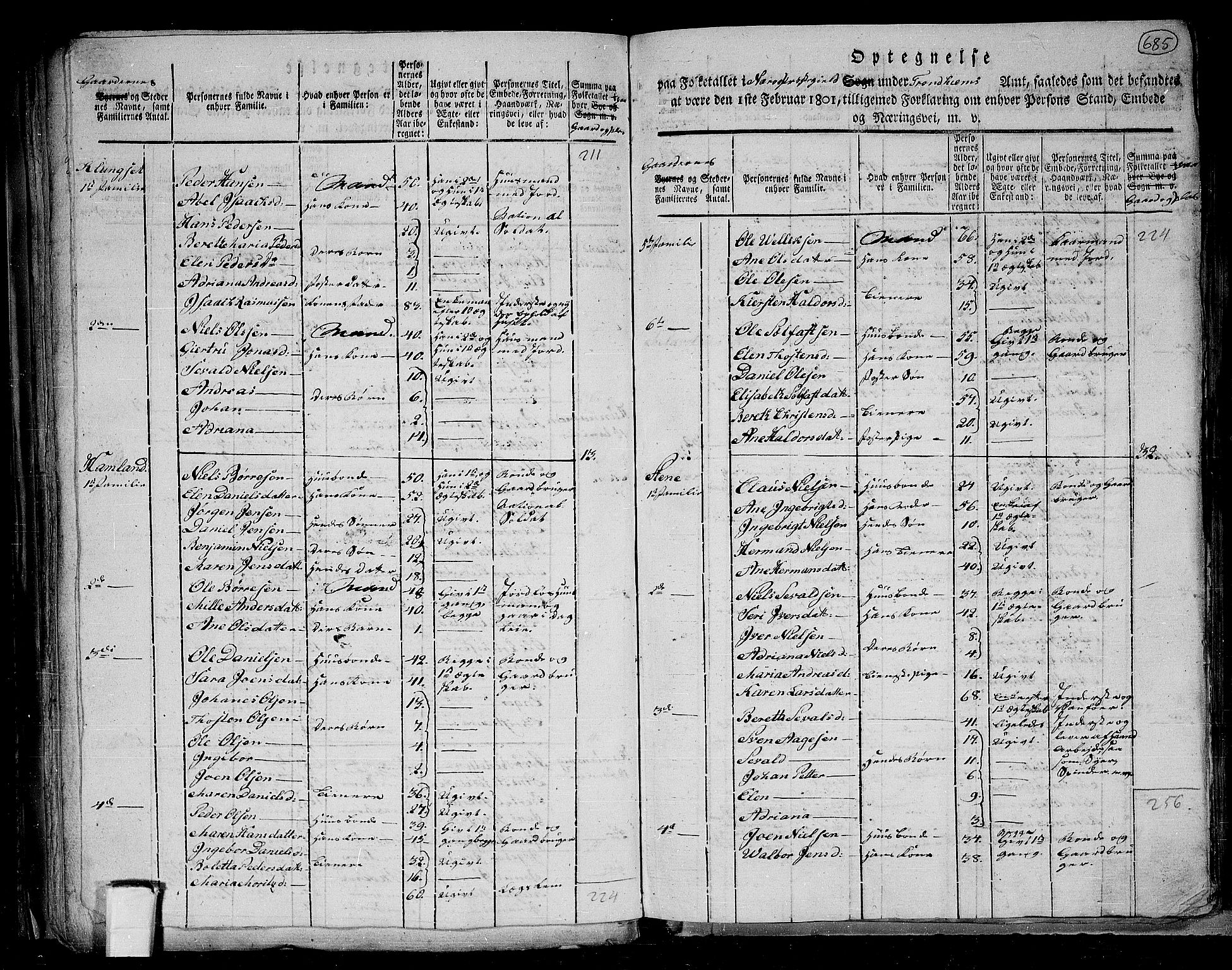 RA, 1801 census for 1751P Nærøy, 1801, p. 684b-685a