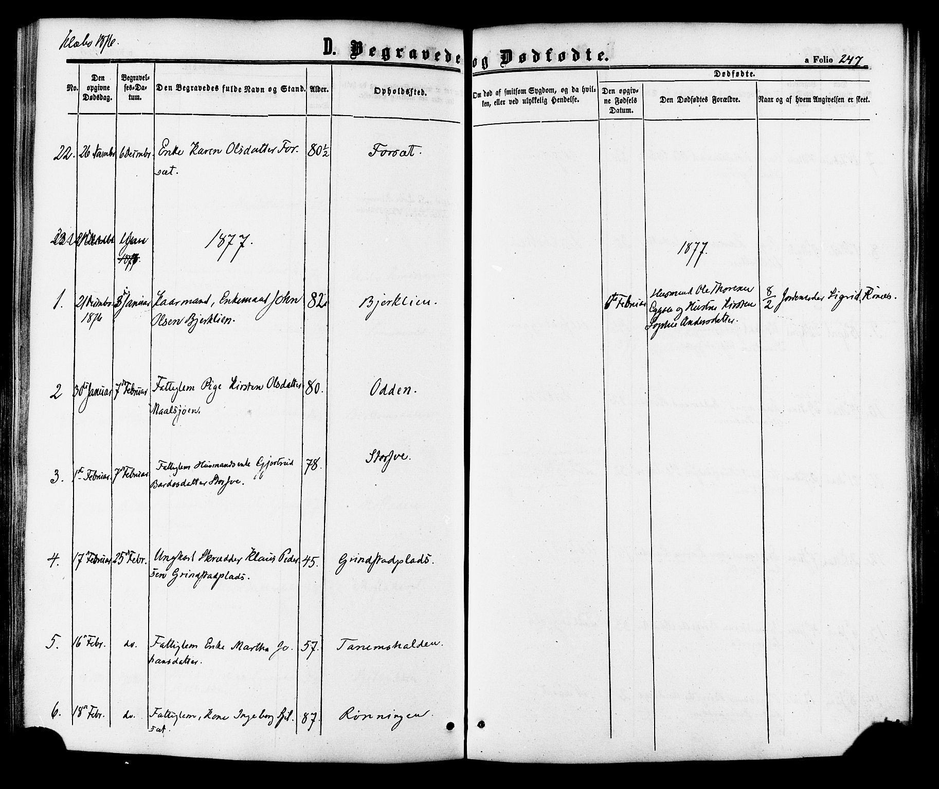 Ministerialprotokoller, klokkerbøker og fødselsregistre - Sør-Trøndelag, SAT/A-1456/618/L0442: Parish register (official) no. 618A06 /1, 1863-1879, p. 247