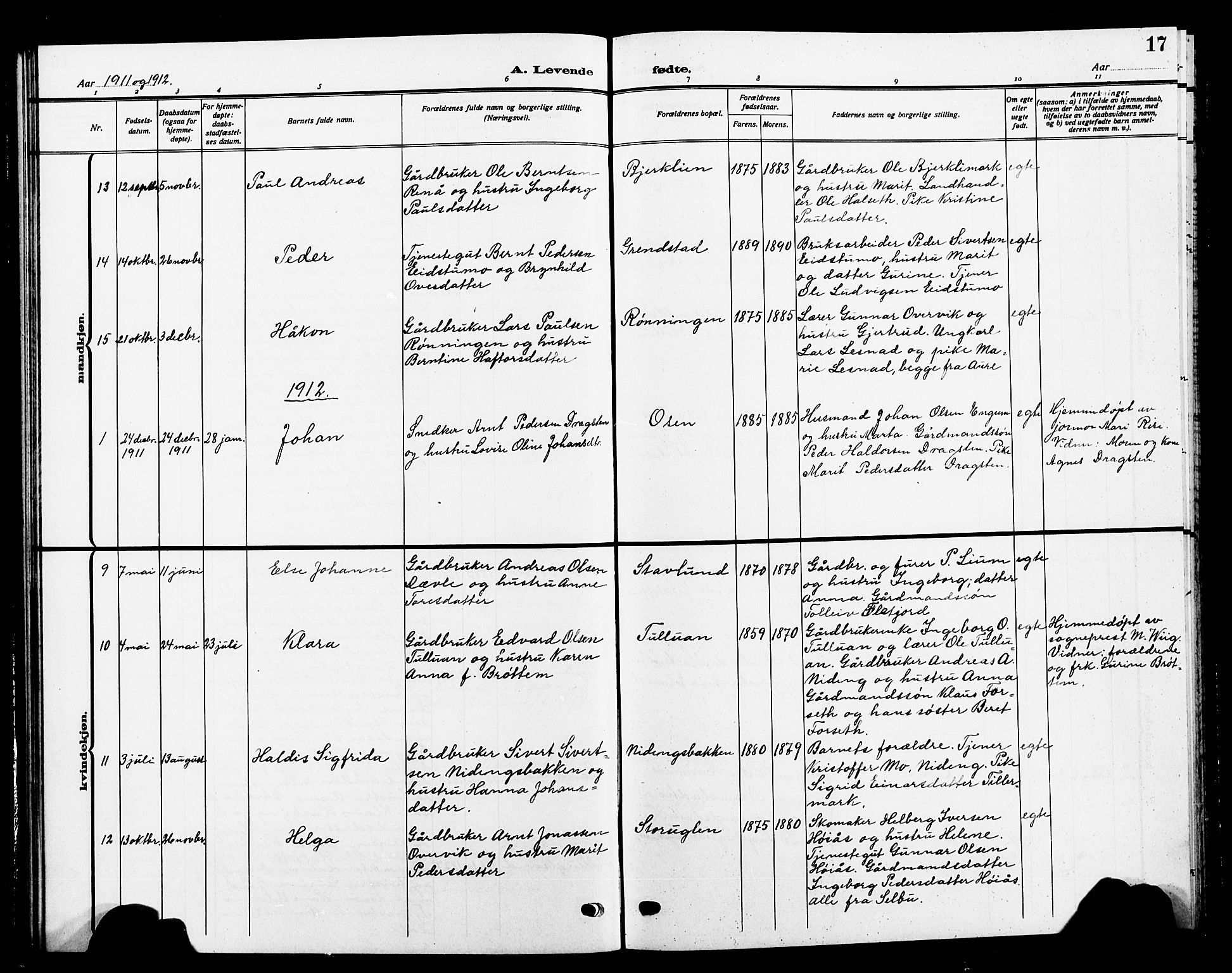 Ministerialprotokoller, klokkerbøker og fødselsregistre - Sør-Trøndelag, SAT/A-1456/618/L0453: Parish register (copy) no. 618C04, 1907-1925, p. 17