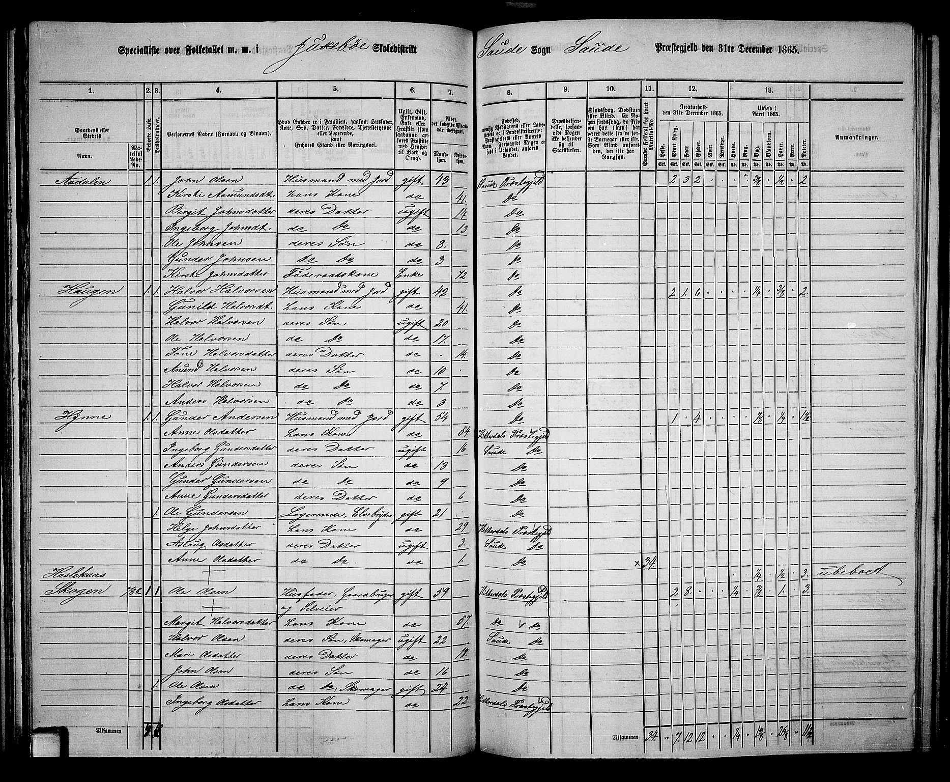 RA, 1865 census for Sauherad, 1865, p. 70