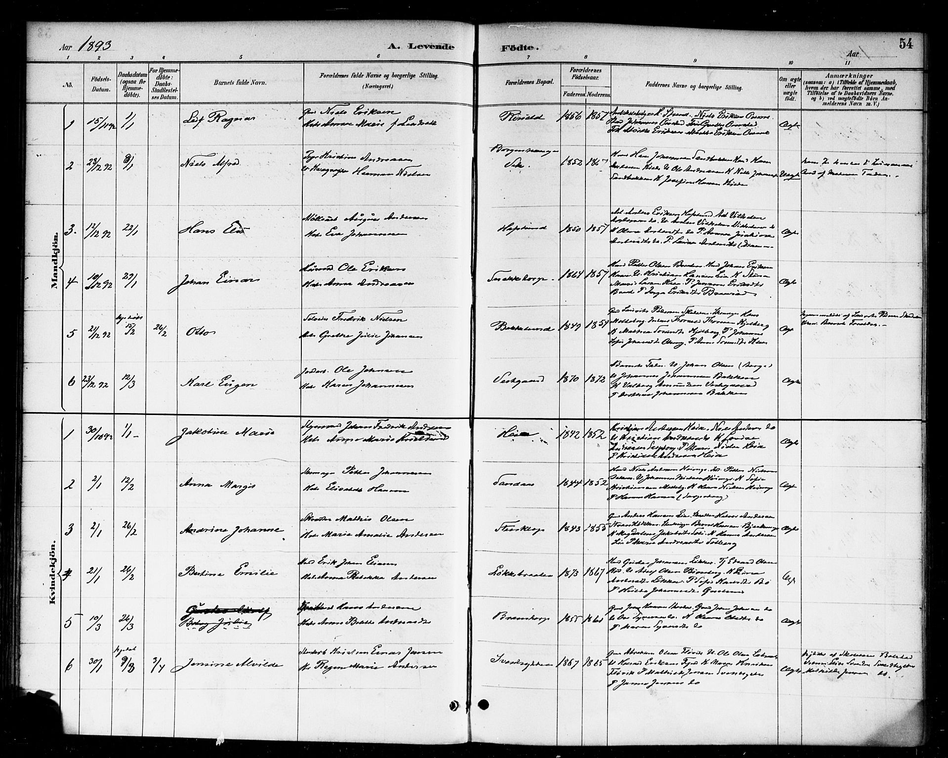 Skjeberg prestekontor Kirkebøker, AV/SAO-A-10923/F/Fa/L0009: Parish register (official) no. I 9, 1886-1897, p. 54