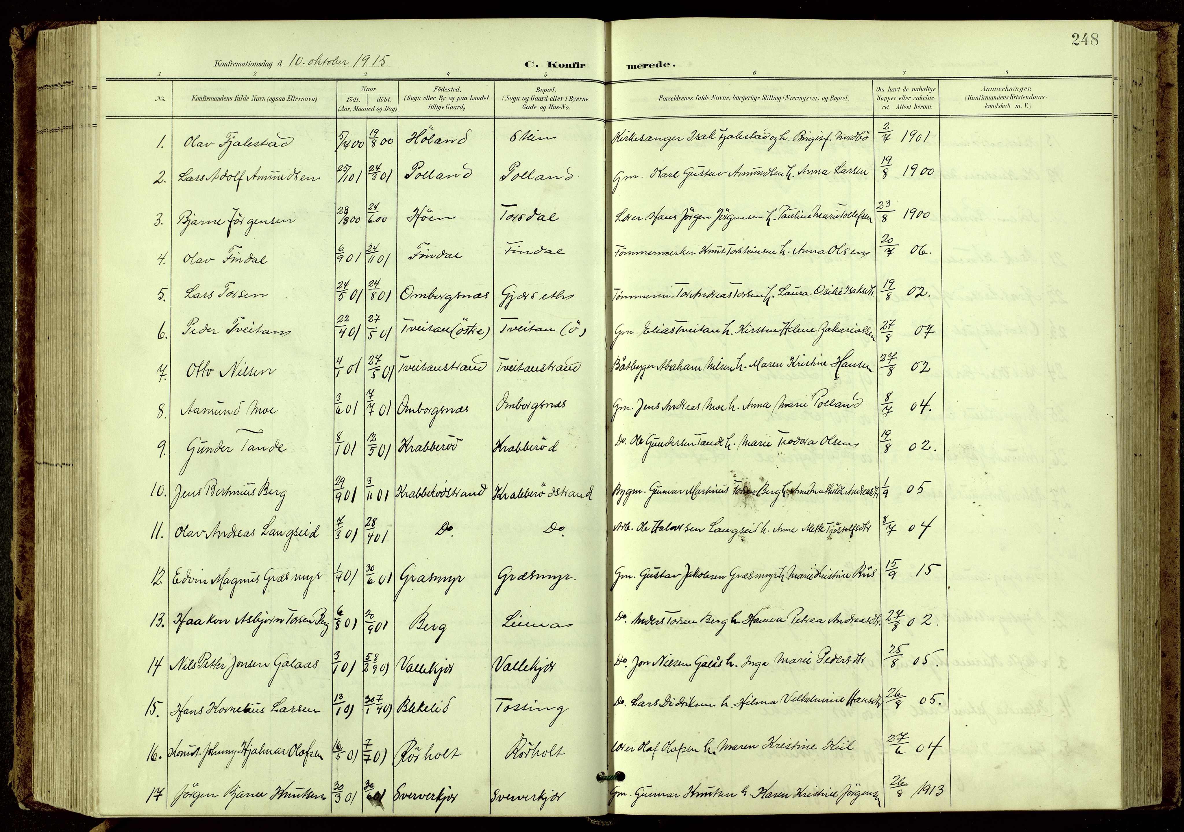 Bamble kirkebøker, SAKO/A-253/G/Ga/L0010: Parish register (copy) no. I 10, 1901-1919, p. 248