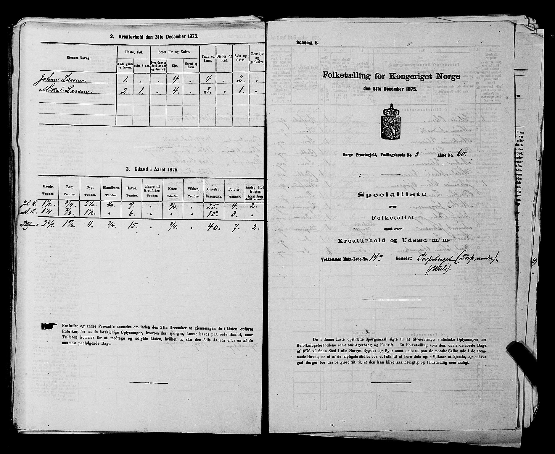 RA, 1875 census for 0113P Borge, 1875, p. 511