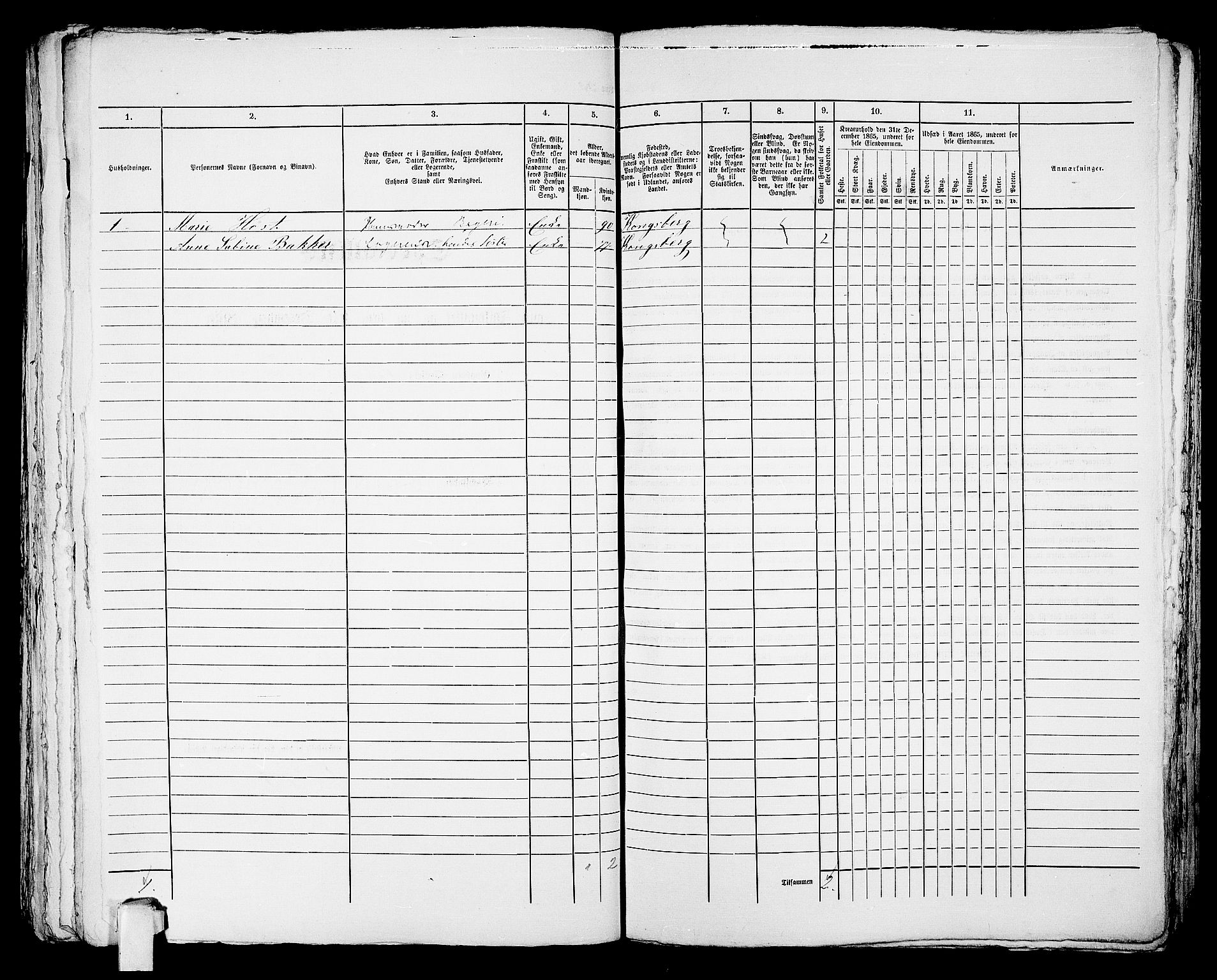 RA, 1865 census for Kragerø/Kragerø, 1865, p. 1051