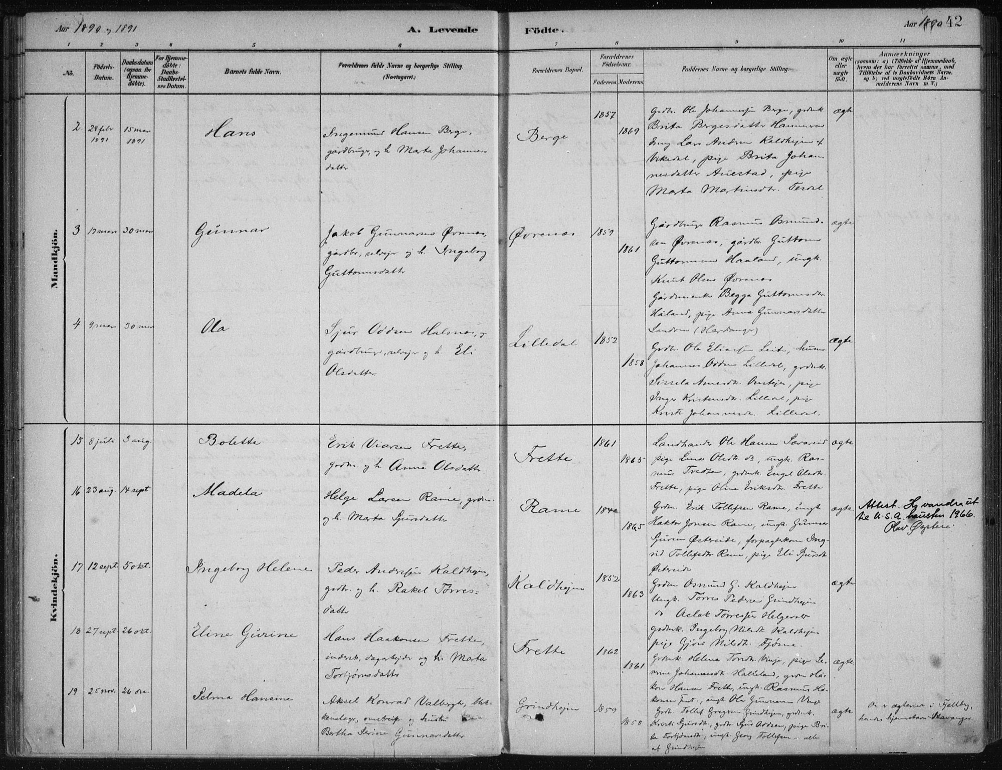 Etne sokneprestembete, AV/SAB-A-75001/H/Haa: Parish register (official) no. D  1, 1879-1919, p. 42