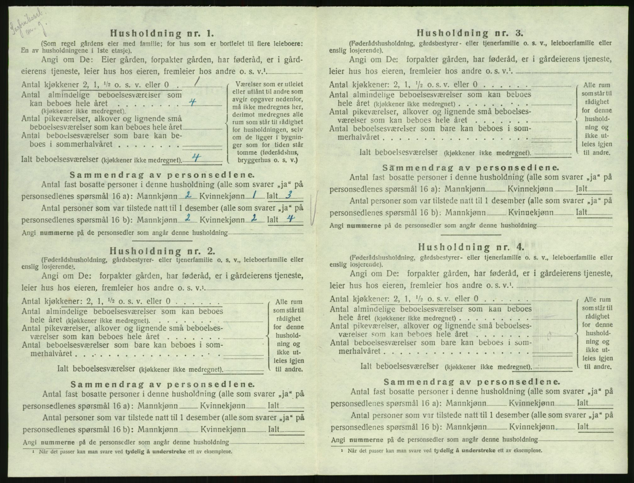 SAK, 1920 census for Hornnes, 1920, p. 414