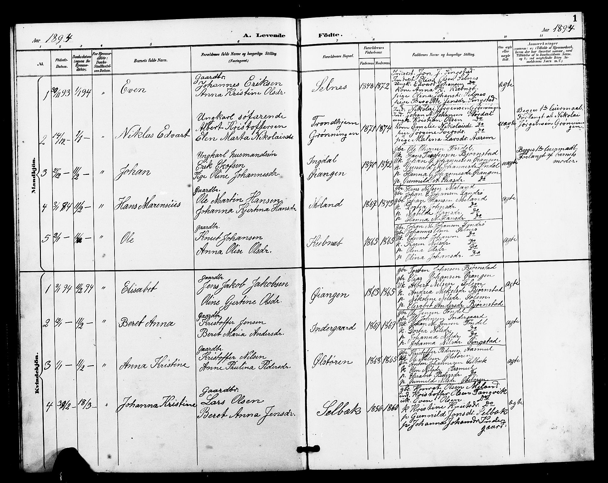 Ministerialprotokoller, klokkerbøker og fødselsregistre - Sør-Trøndelag, AV/SAT-A-1456/663/L0762: Parish register (copy) no. 663C02, 1894-1899, p. 1