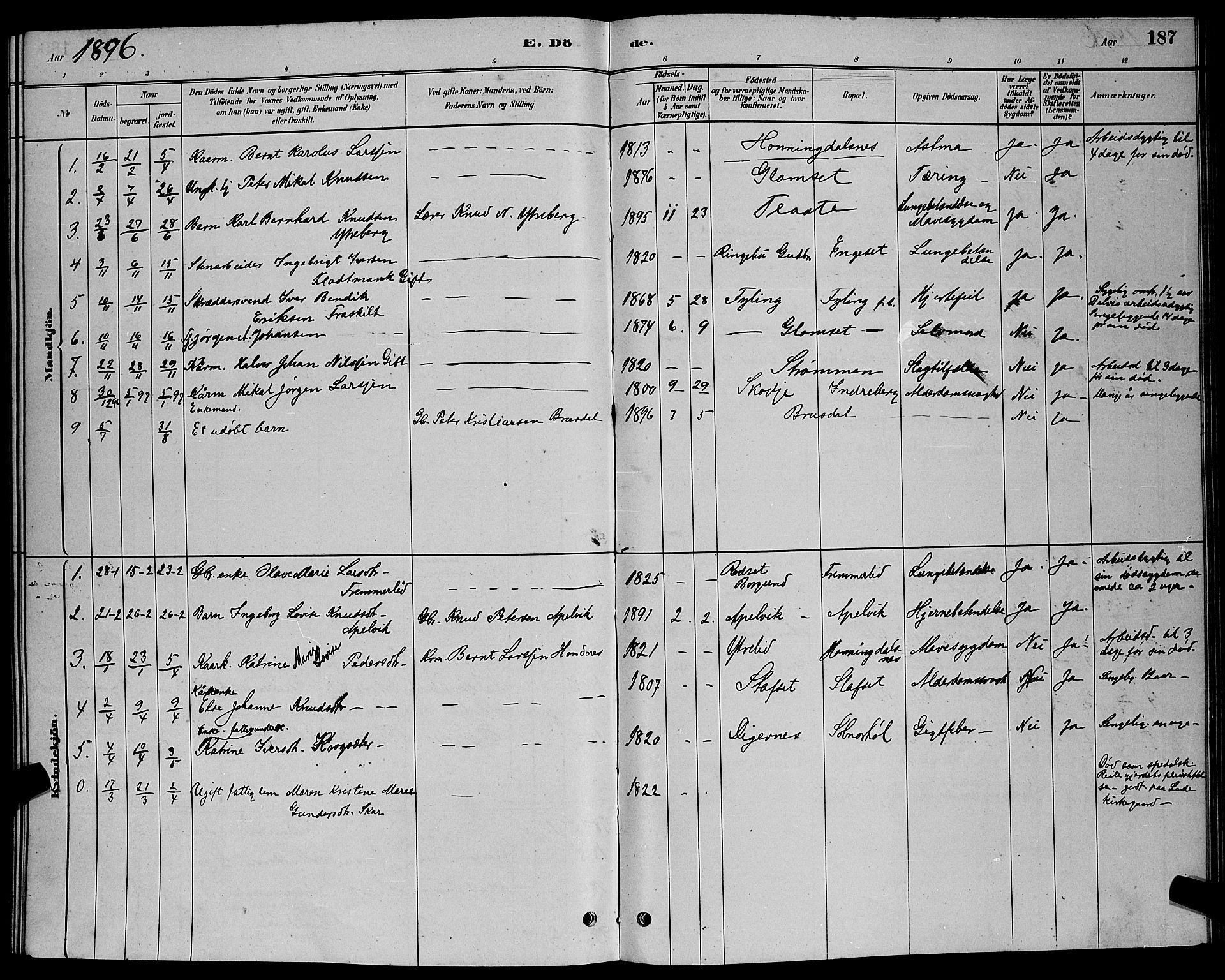 Ministerialprotokoller, klokkerbøker og fødselsregistre - Møre og Romsdal, AV/SAT-A-1454/524/L0365: Parish register (copy) no. 524C06, 1880-1899, p. 187