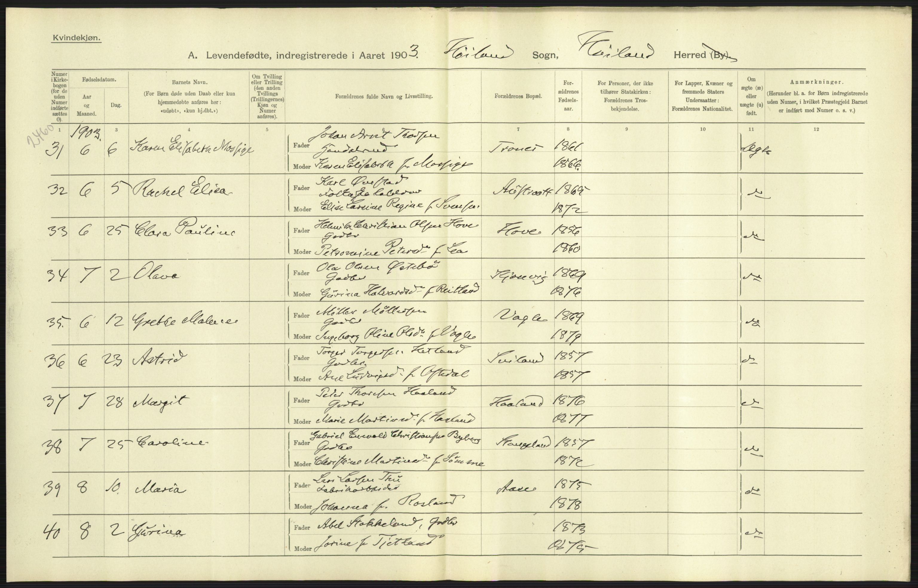 Statistisk sentralbyrå, Sosiodemografiske emner, Befolkning, AV/RA-S-2228/D/Df/Dfa/Dfaa/L0012: Stavanger amt: Fødte, gifte, døde, 1903, p. 9