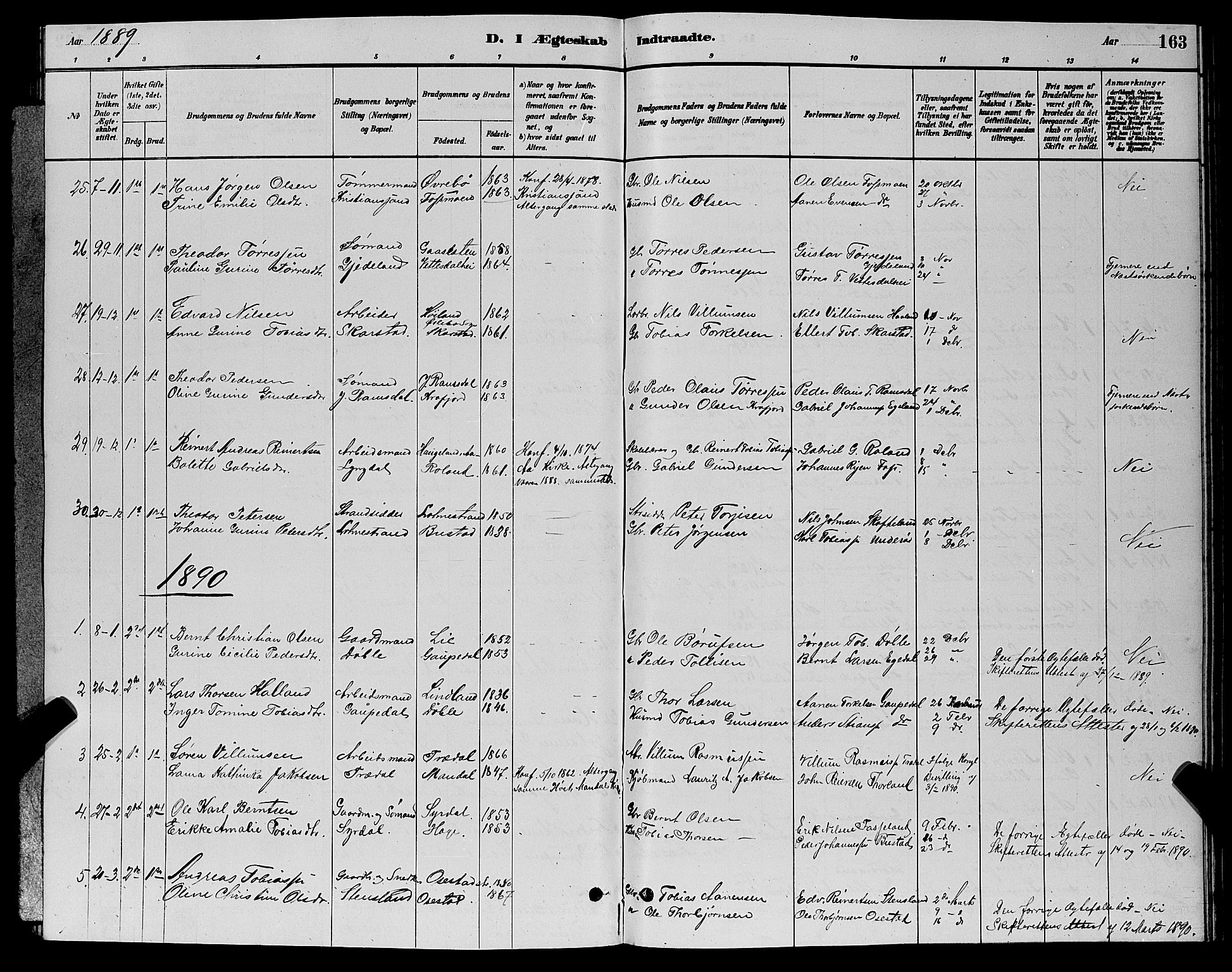 Sør-Audnedal sokneprestkontor, AV/SAK-1111-0039/F/Fb/Fbb/L0005: Parish register (copy) no. B 5, 1880-1892, p. 163