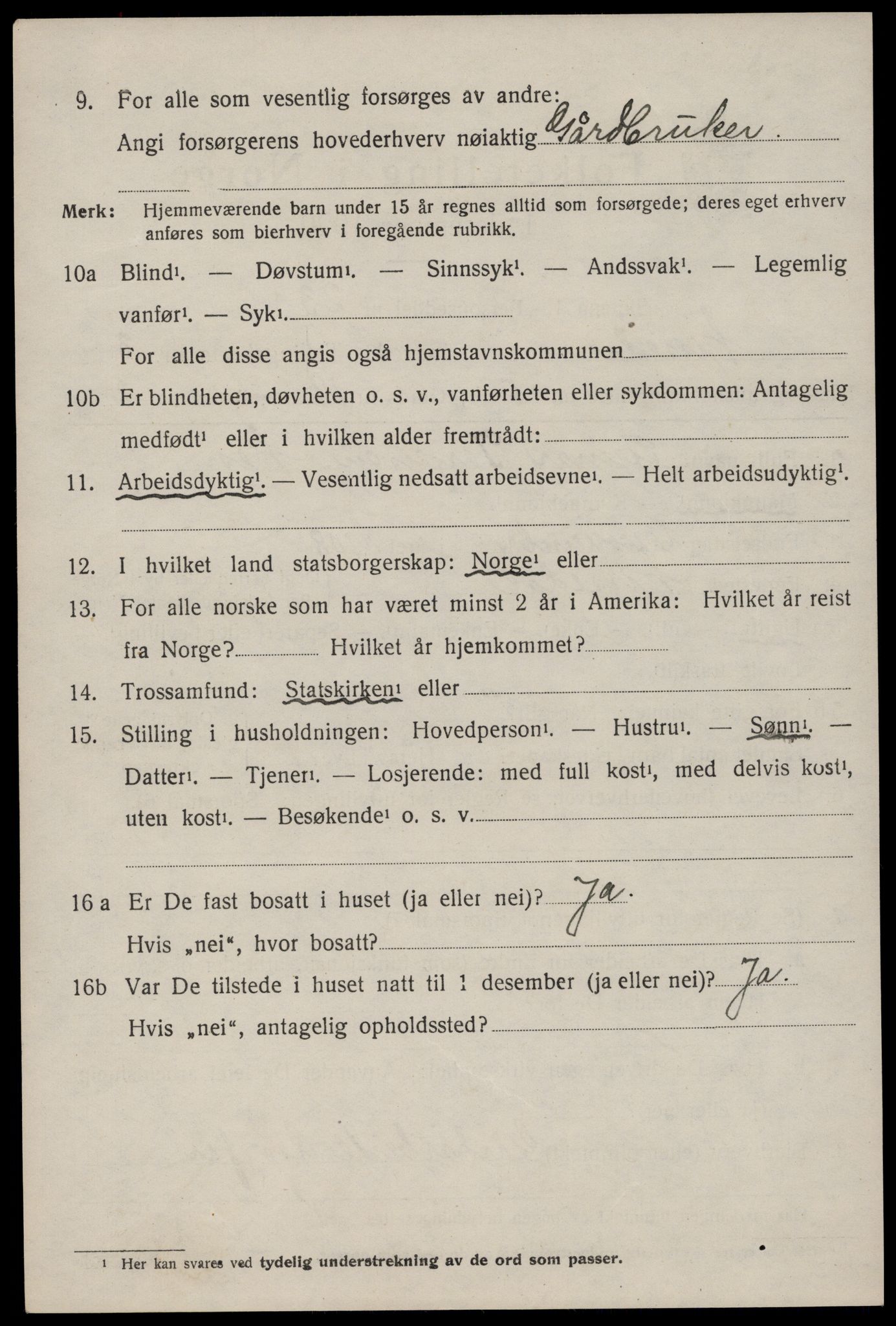 SAKO, 1920 census for Nissedal, 1920, p. 1542