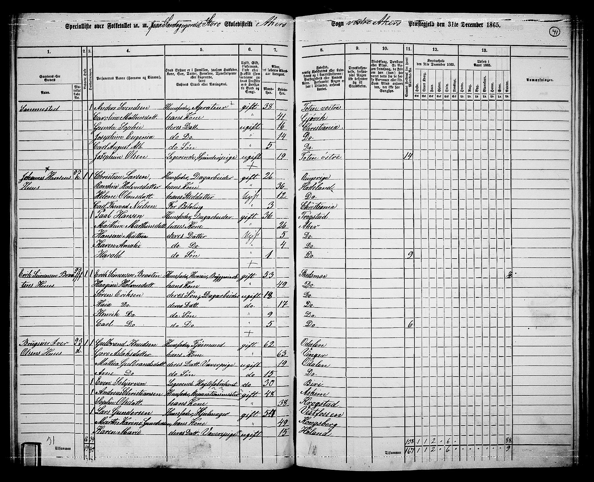 RA, 1865 census for Vestre Aker, 1865, p. 239