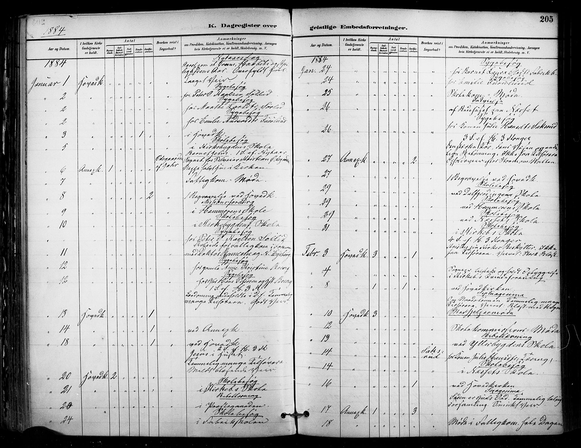 Enebakk prestekontor Kirkebøker, SAO/A-10171c/F/Fa/L0016: Parish register (official) no. I 16, 1883-1898, p. 205