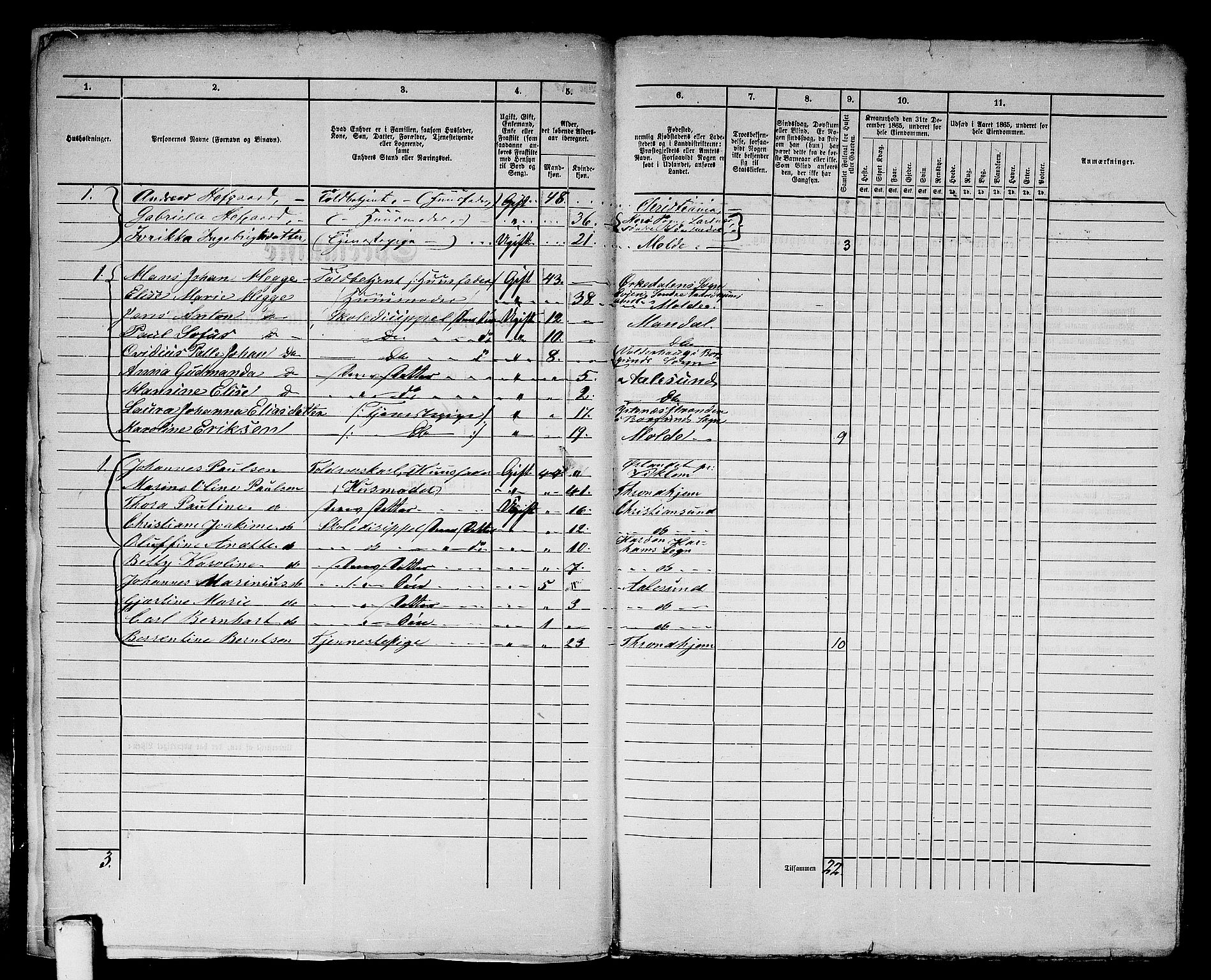 RA, 1865 census for Ålesund, 1865, p. 11