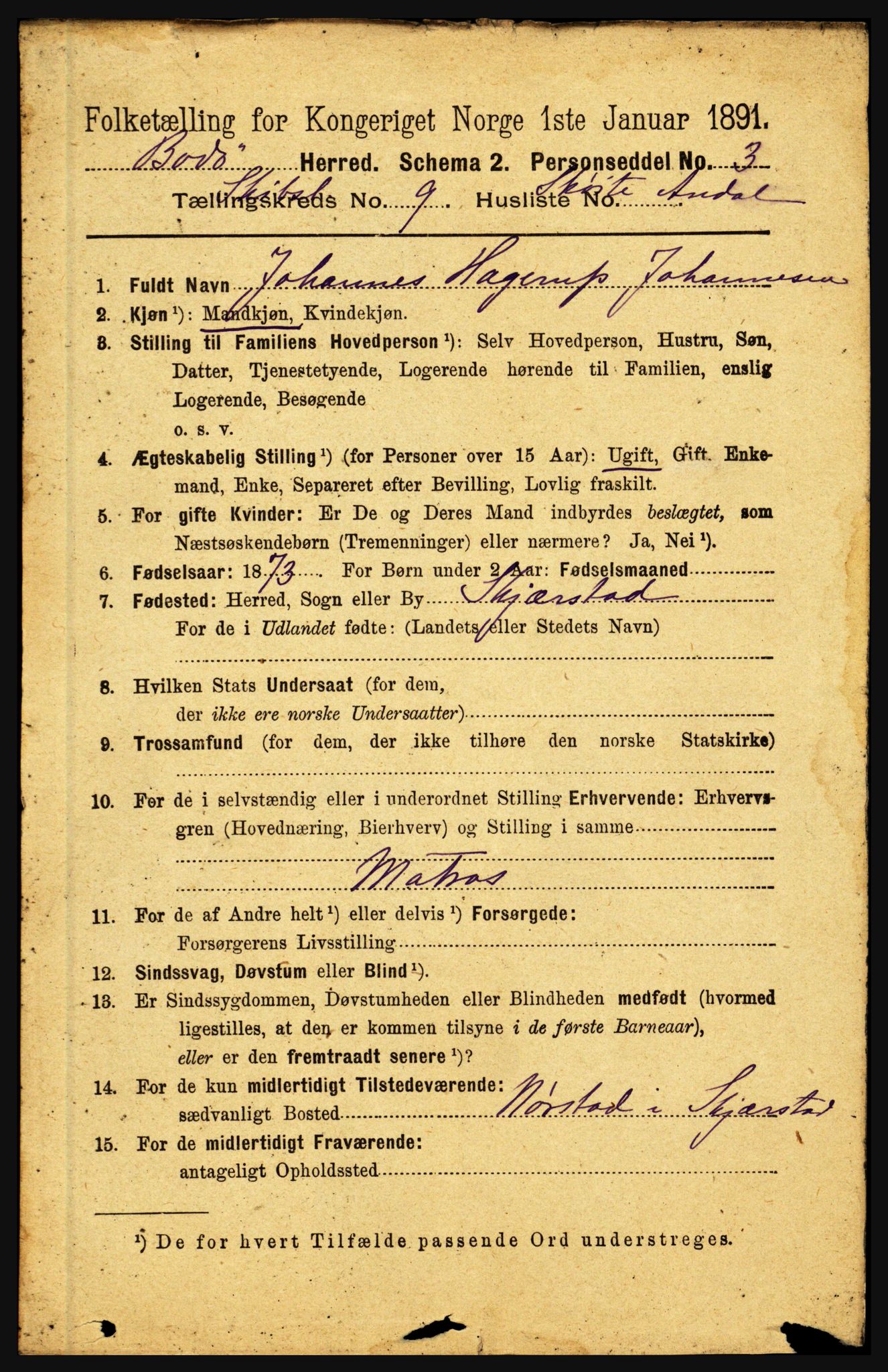 RA, 1891 census for 1843 Bodø, 1891, p. 5096