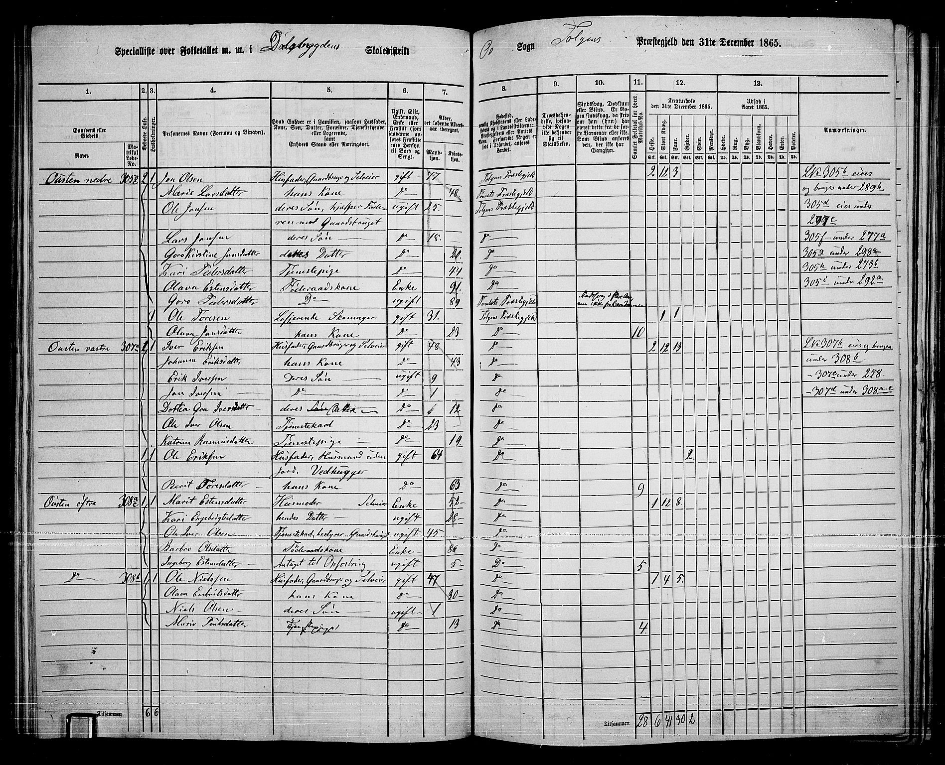 RA, 1865 census for Tolga, 1865, p. 126