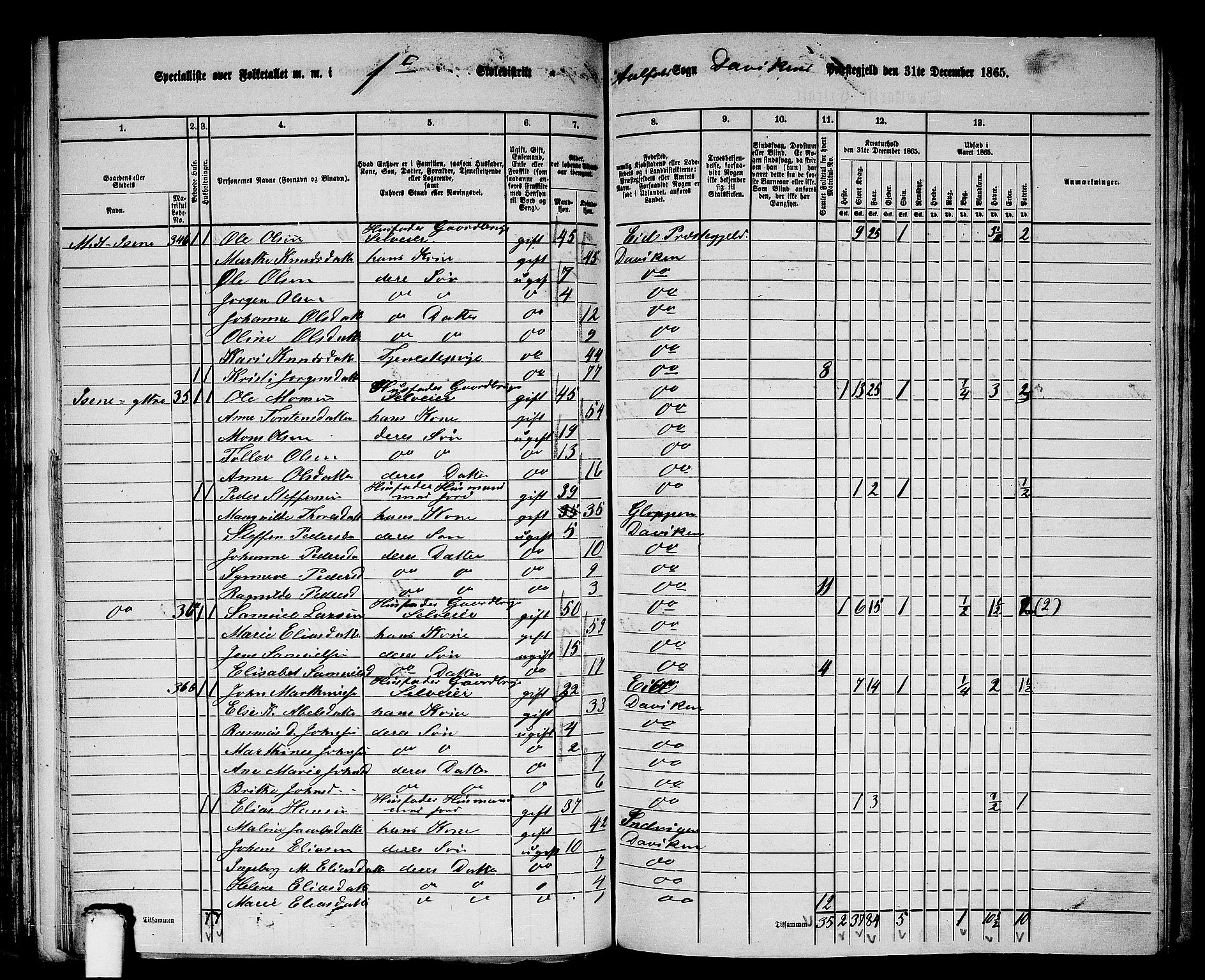 RA, 1865 census for Davik, 1865, p. 19