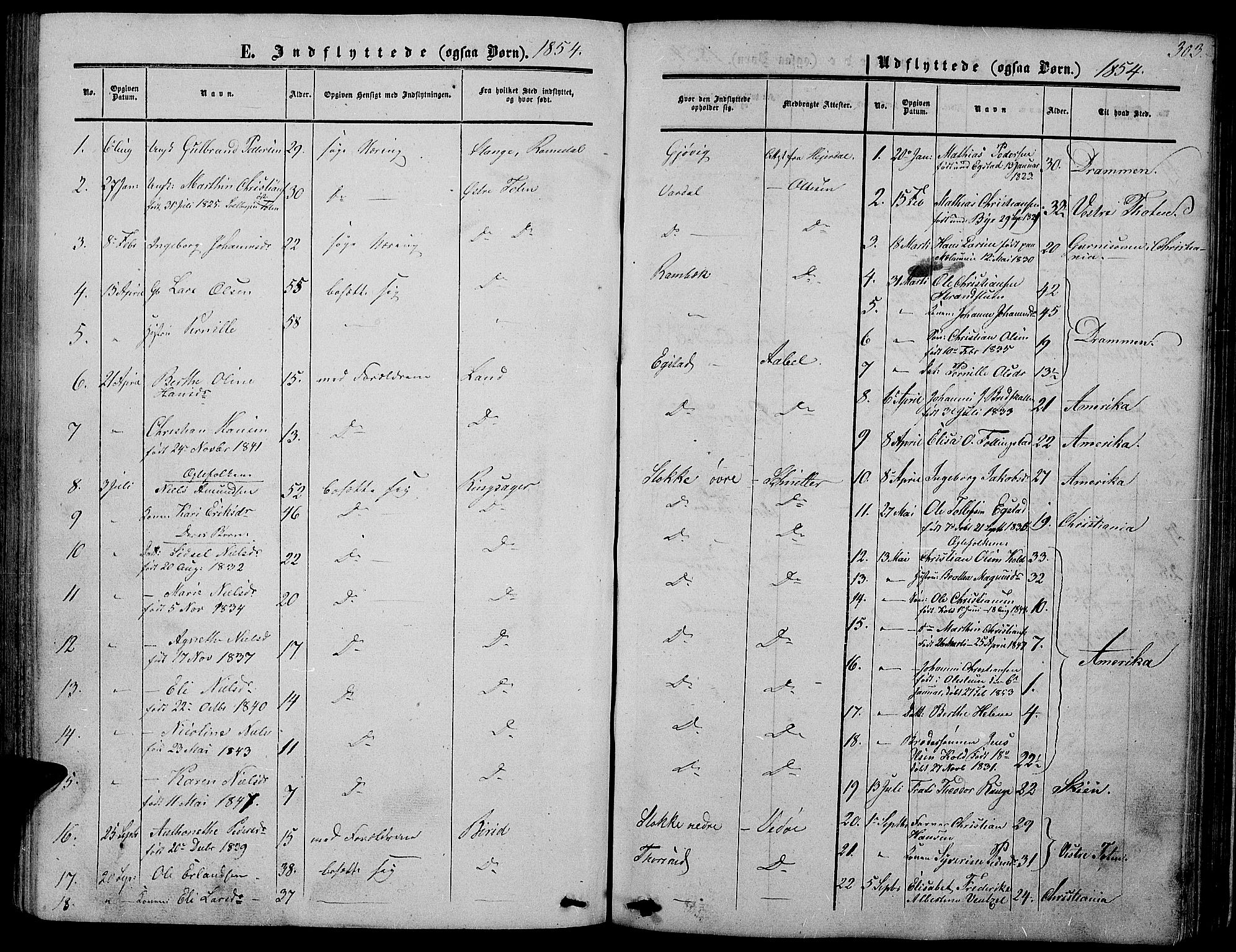Vardal prestekontor, SAH/PREST-100/H/Ha/Hab/L0005: Parish register (copy) no. 5, 1854-1868, p. 303