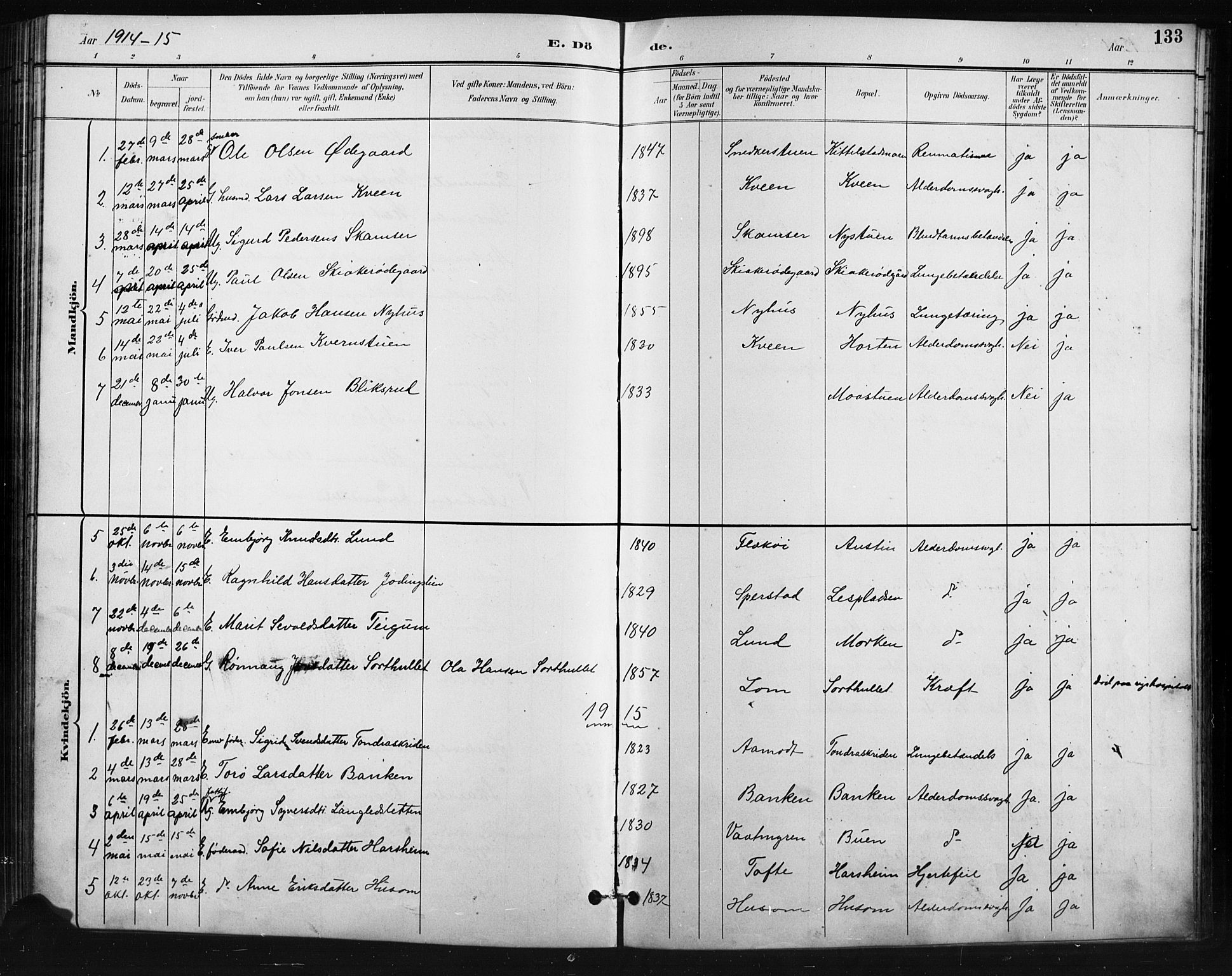 Skjåk prestekontor, AV/SAH-PREST-072/H/Ha/Hab/L0004: Parish register (copy) no. 4, 1895-1921, p. 133