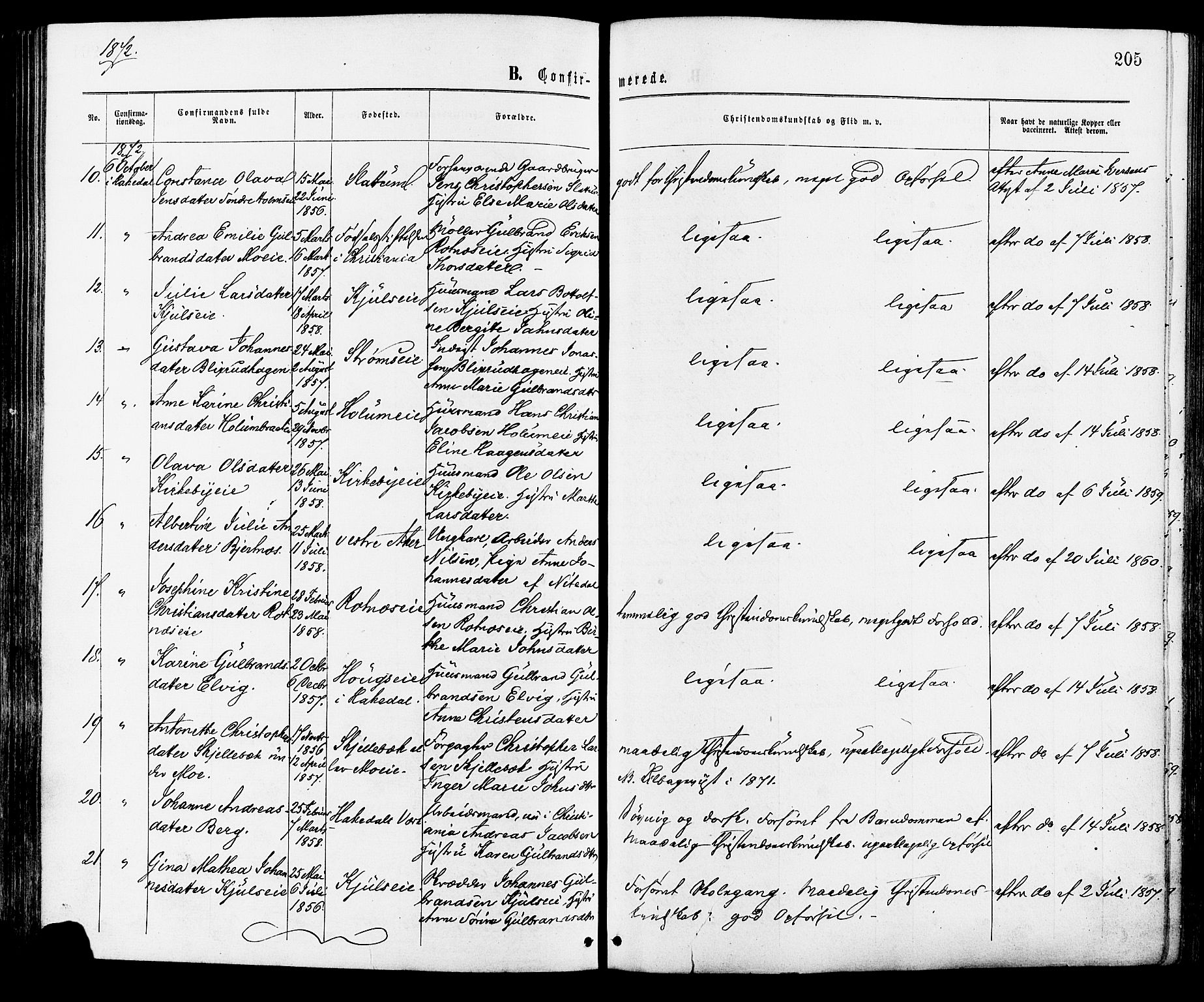 Nittedal prestekontor Kirkebøker, AV/SAO-A-10365a/F/Fa/L0006: Parish register (official) no. I 6, 1863-1878, p. 205