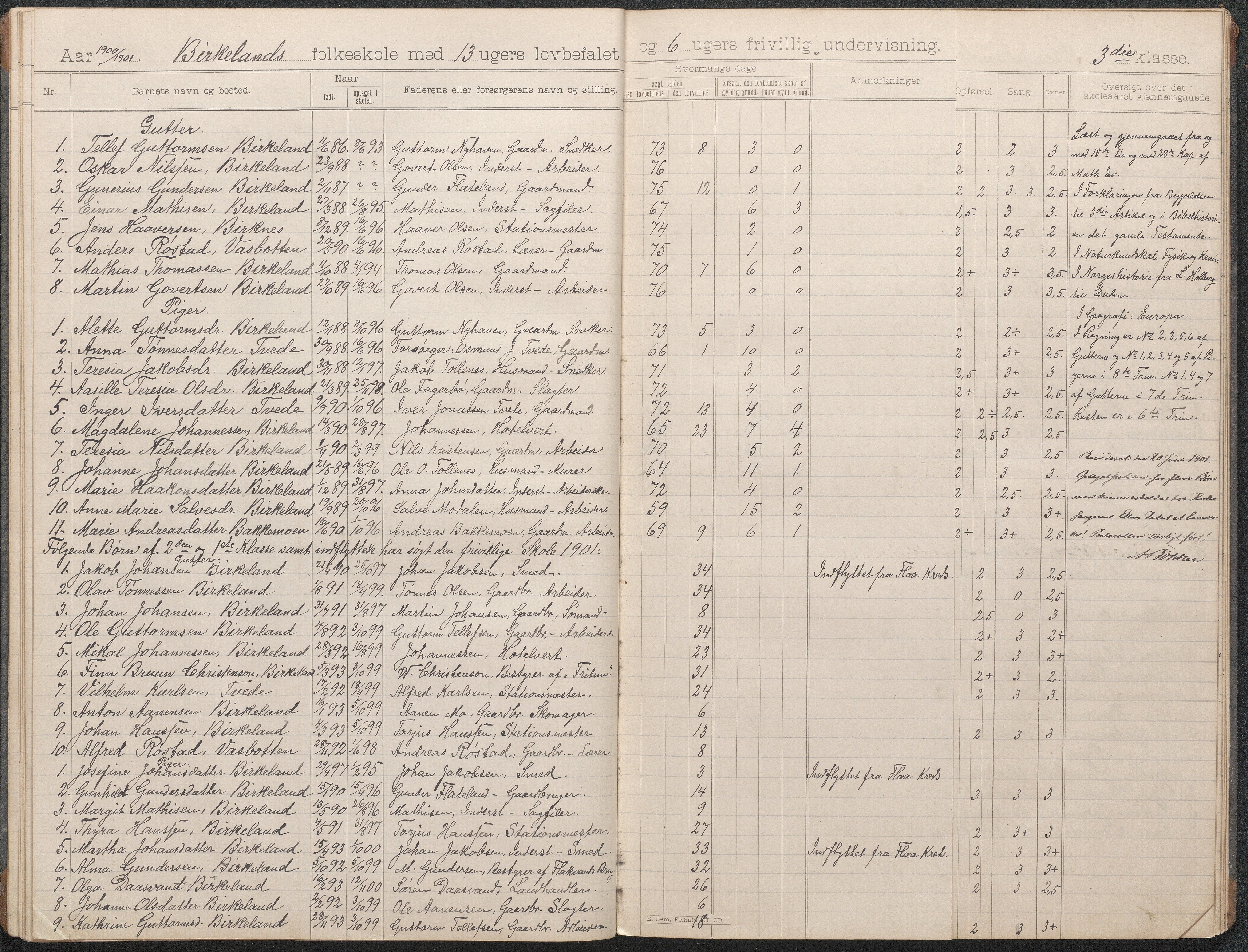 Birkenes kommune, Birkenes krets/Birkeland folkeskole frem til 1991, AAKS/KA0928-550a_91/F02/L0004: Skoleprotokoll, 1896-1907