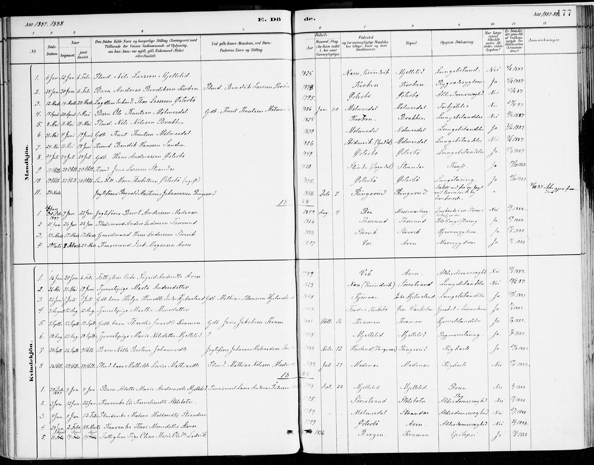 Lavik sokneprestembete, AV/SAB-A-80901: Parish register (official) no. B 1, 1882-1908, p. 177