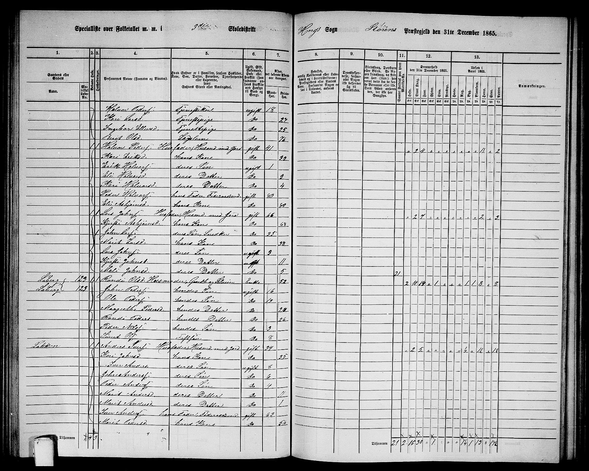 RA, 1865 census for Støren, 1865, p. 166