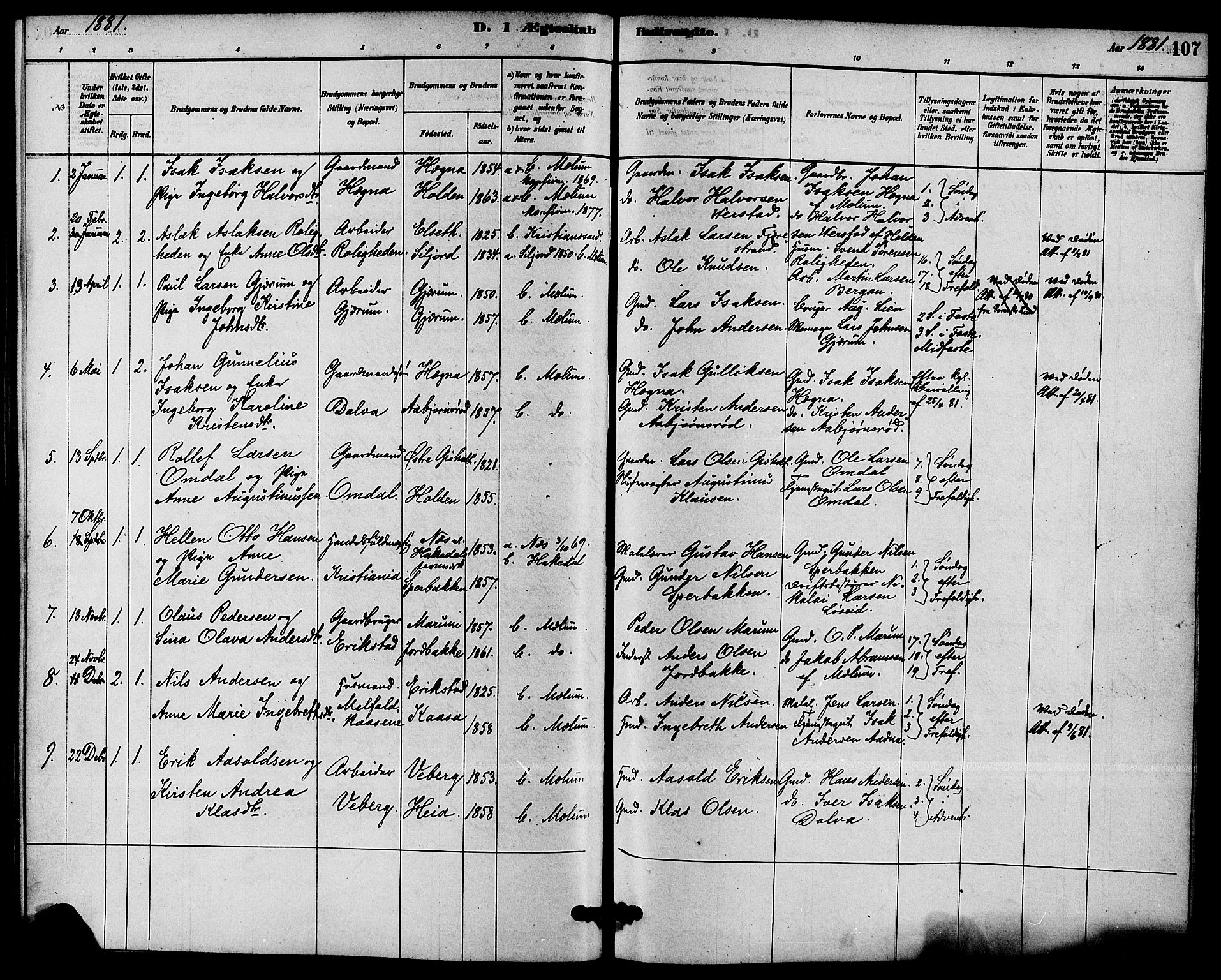 Solum kirkebøker, SAKO/A-306/F/Fb/L0001: Parish register (official) no. II 1, 1877-1892, p. 107
