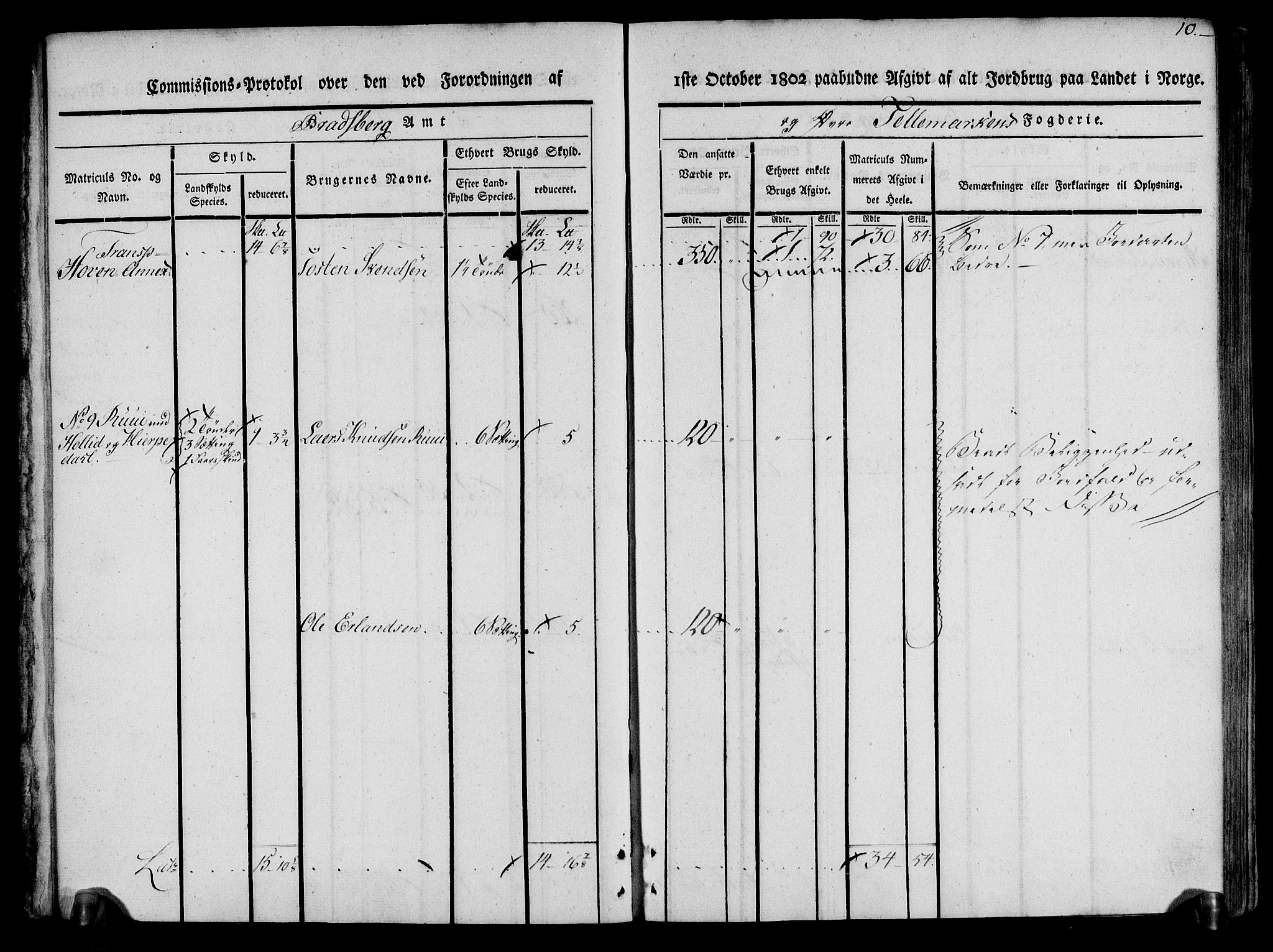 Rentekammeret inntil 1814, Realistisk ordnet avdeling, AV/RA-EA-4070/N/Ne/Nea/L0074: Øvre Telemarken fogderi. Kommisjonsprotokoll for fogderiets østre del - Tinn, Hjartdal og Seljord prestegjeld., 1803, p. 10