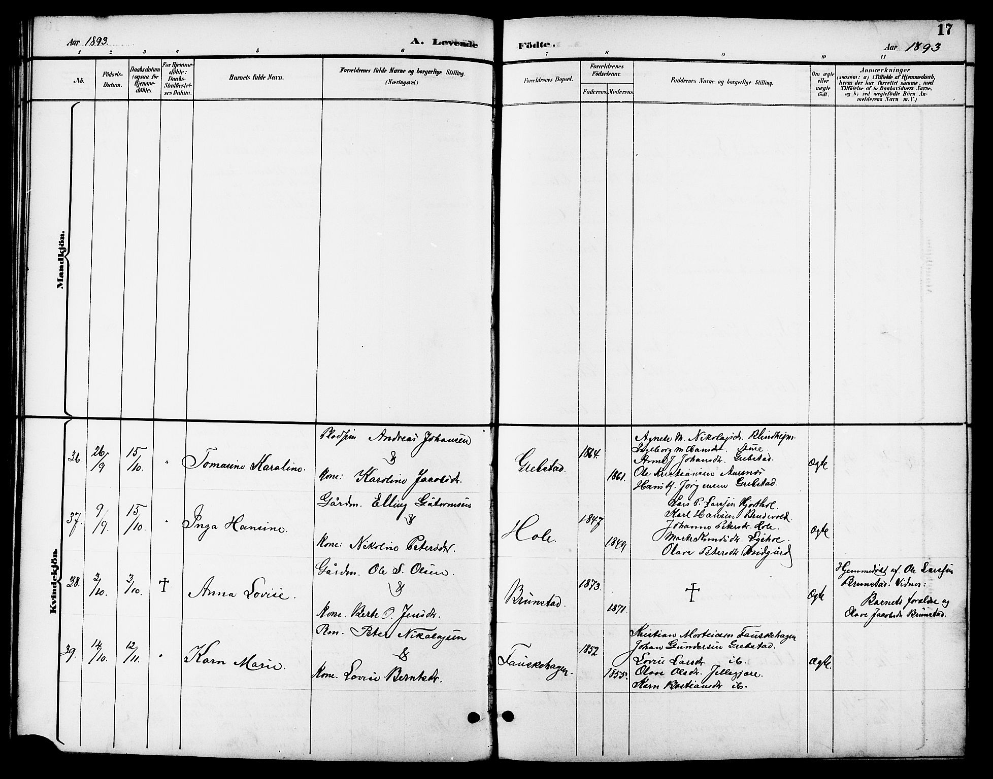 Ministerialprotokoller, klokkerbøker og fødselsregistre - Møre og Romsdal, AV/SAT-A-1454/523/L0340: Parish register (copy) no. 523C03, 1892-1902, p. 17