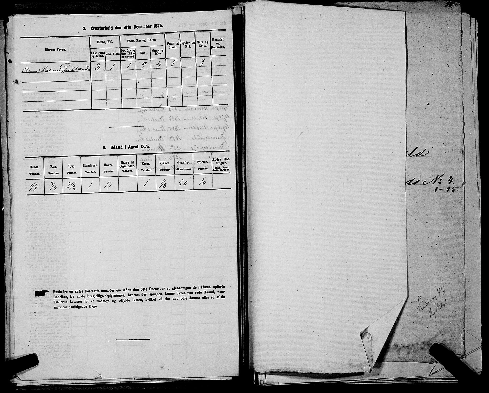 RA, 1875 census for 0236P Nes, 1875, p. 493