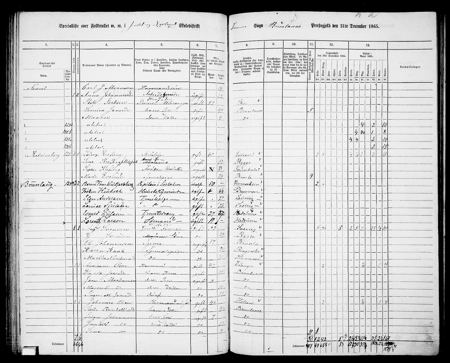 RA, 1865 census for Brunlanes, 1865, p. 83